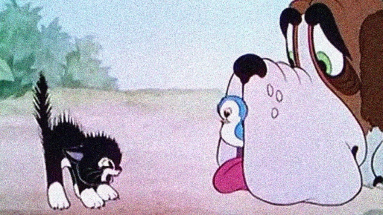 Photo d'illustration du film More Kittens