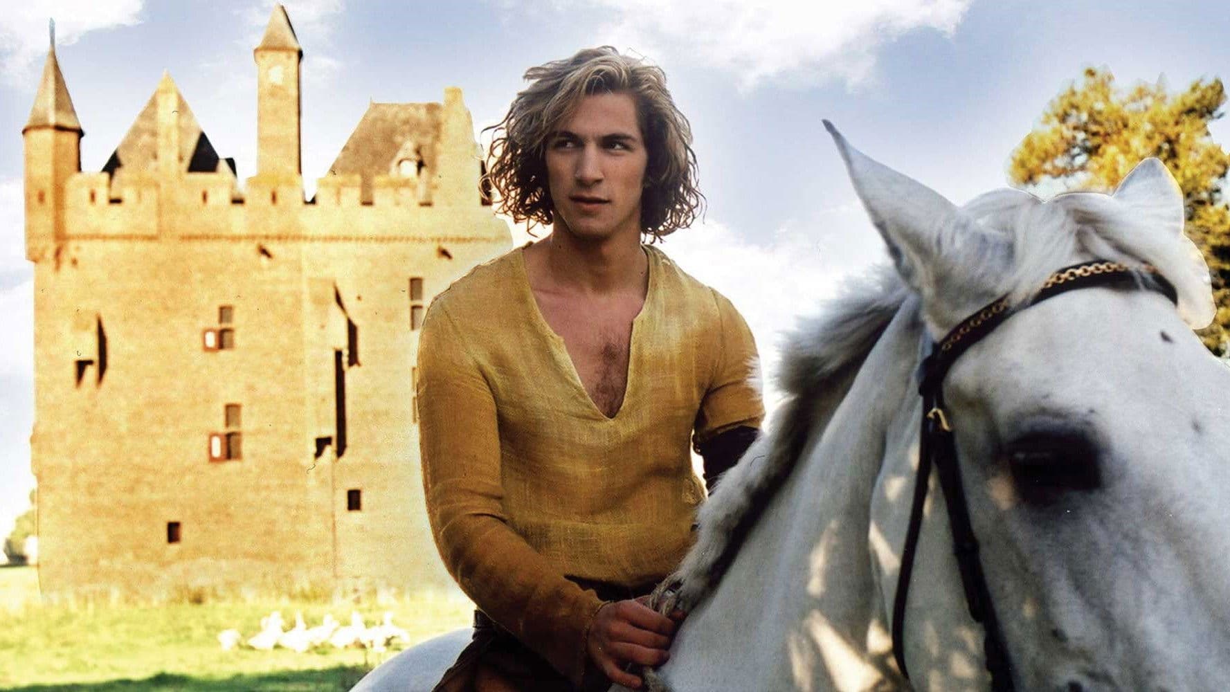 Photo d'illustration du film Floris