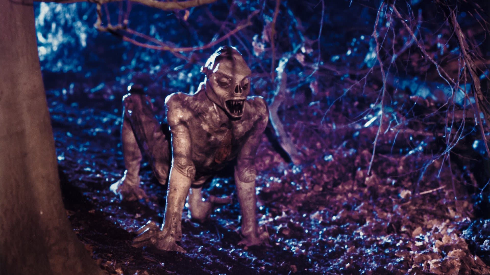 Photo d'illustration du film Xtro