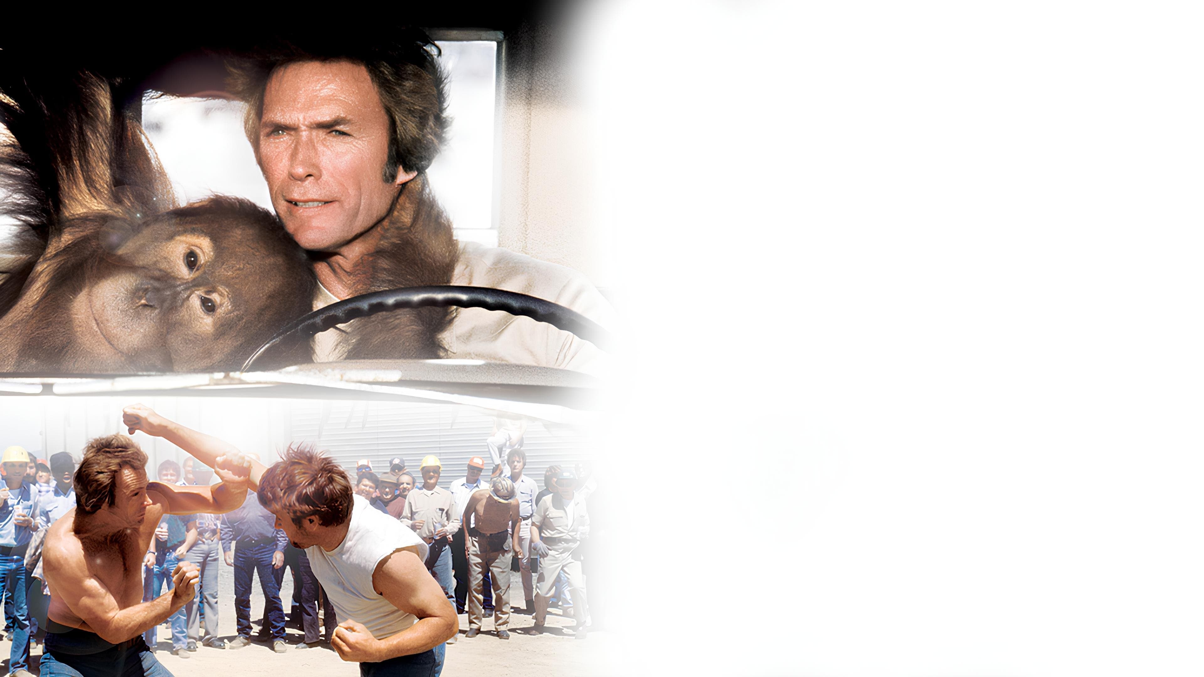 Photo d'illustration du film Doux, dur et dingue