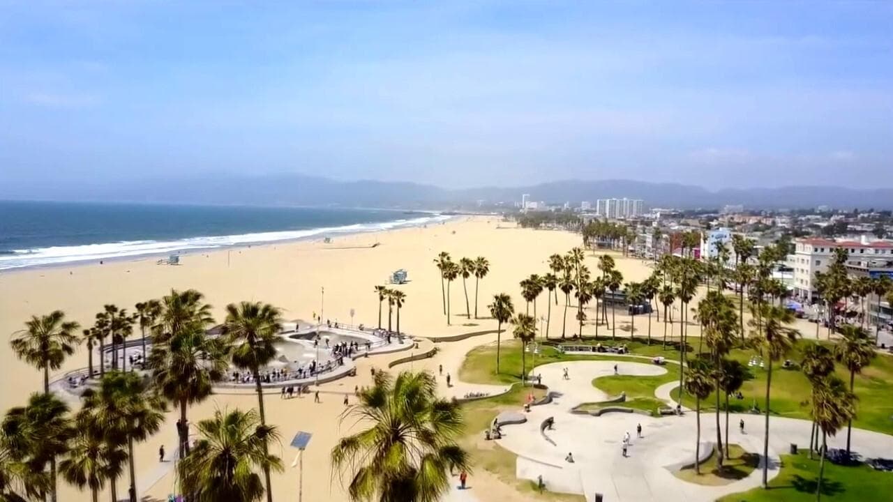 Photo d'illustration du film Beach Babe Bingo