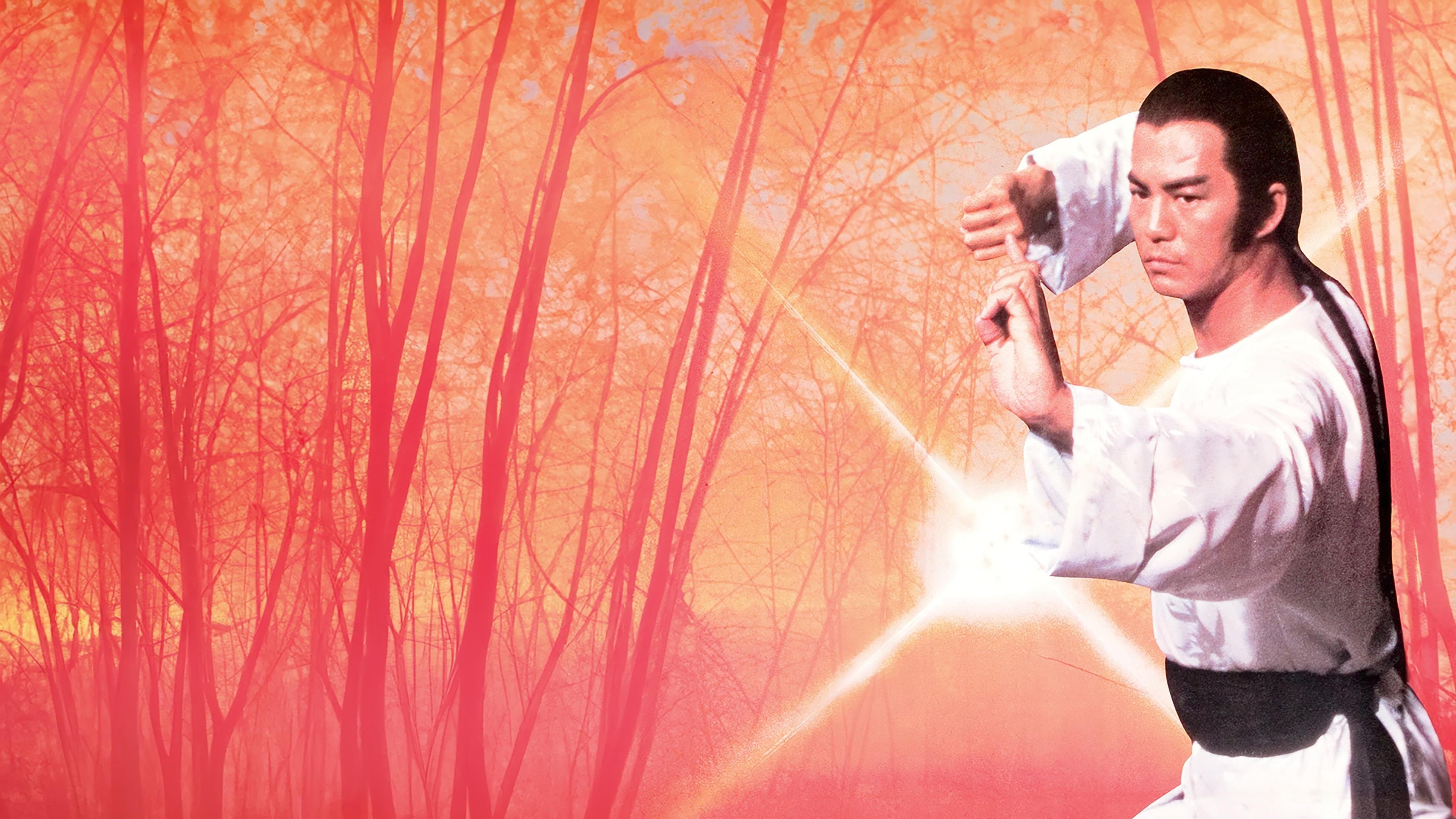 Photo d'illustration du film Opium And The Kung Fu Master