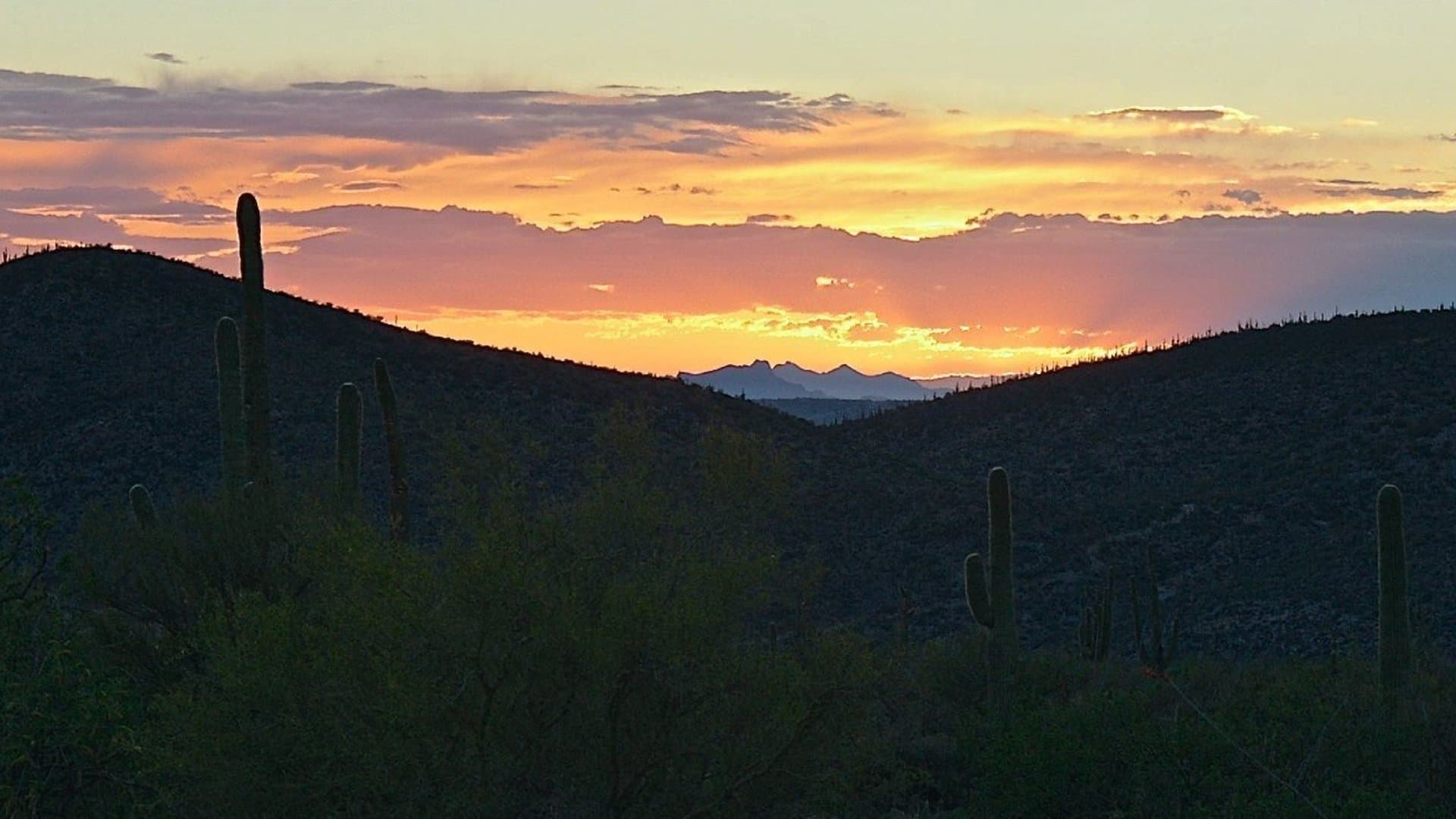 Photo d'illustration du film Misfortune