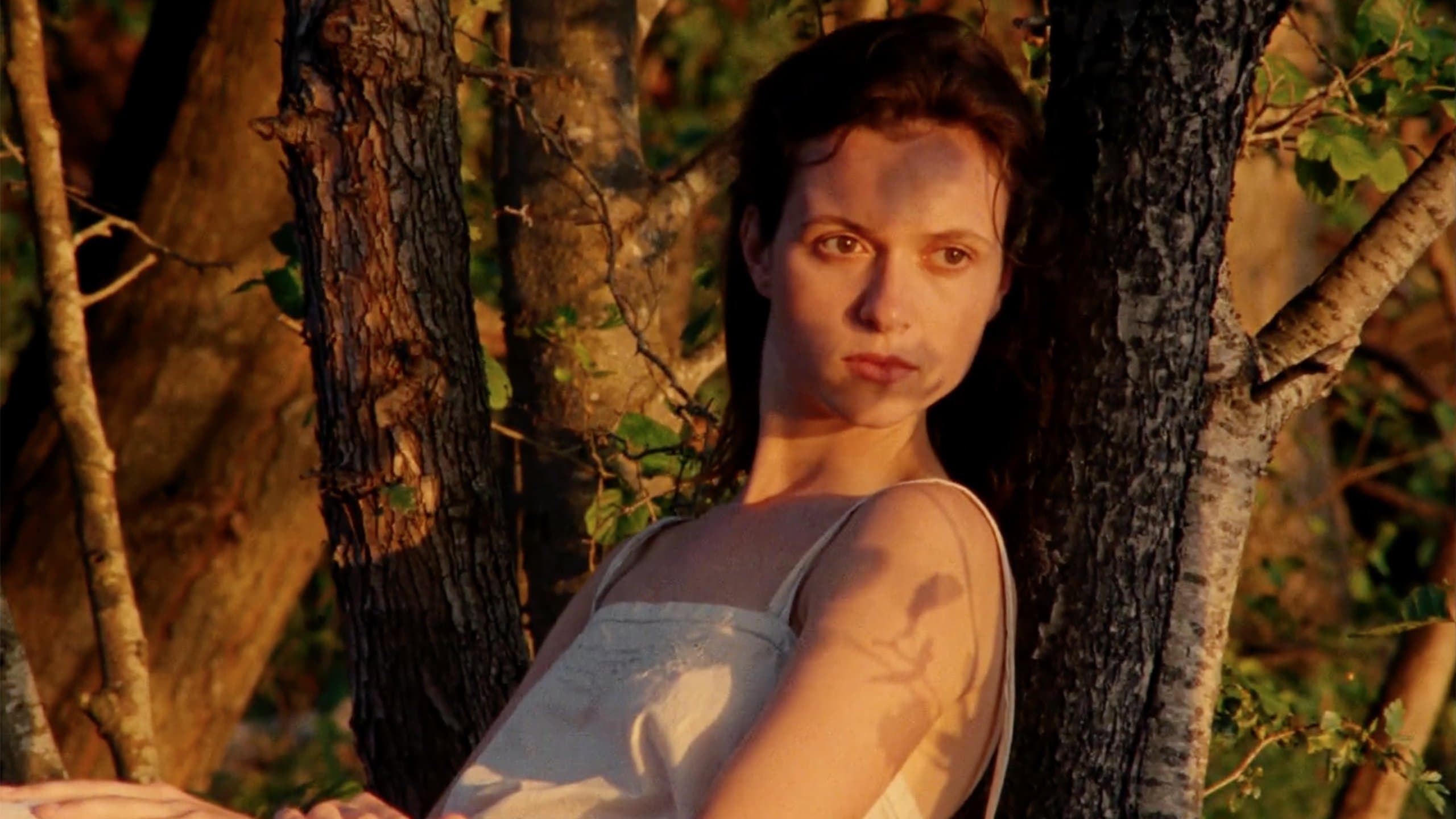 Photo d'illustration du film L'Envol