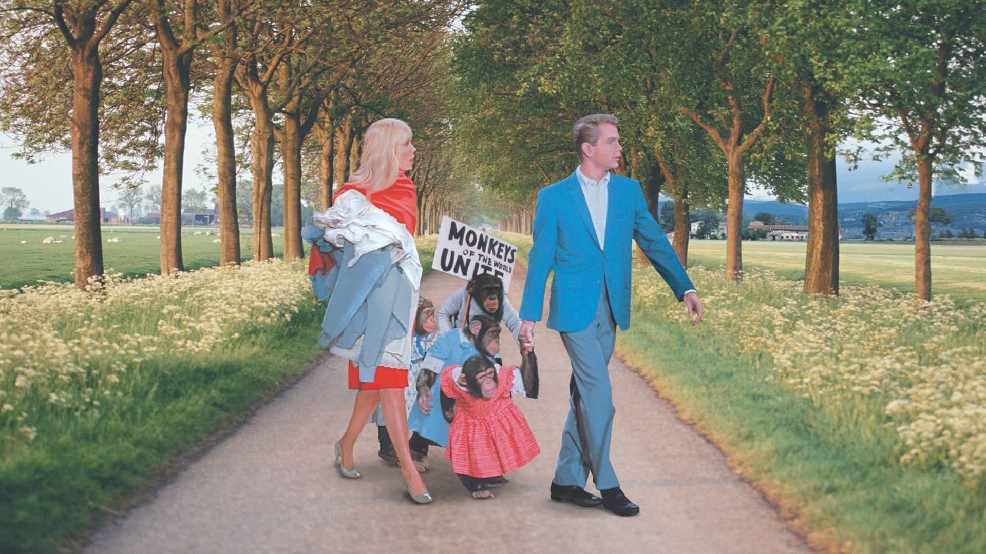 Photo d'illustration du film Rentrez chez-vous les singes