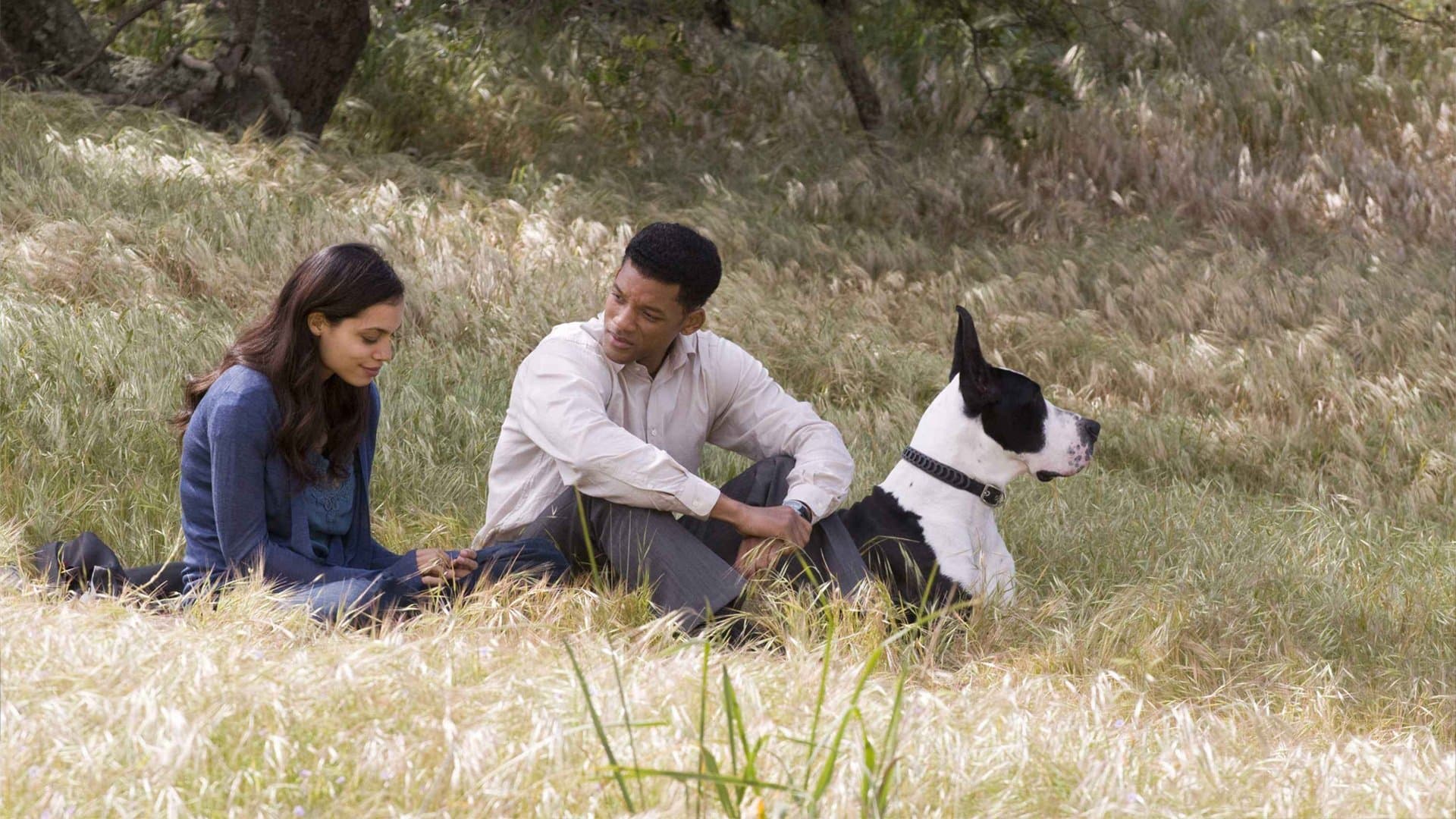 Photo d'illustration du film Sept vies