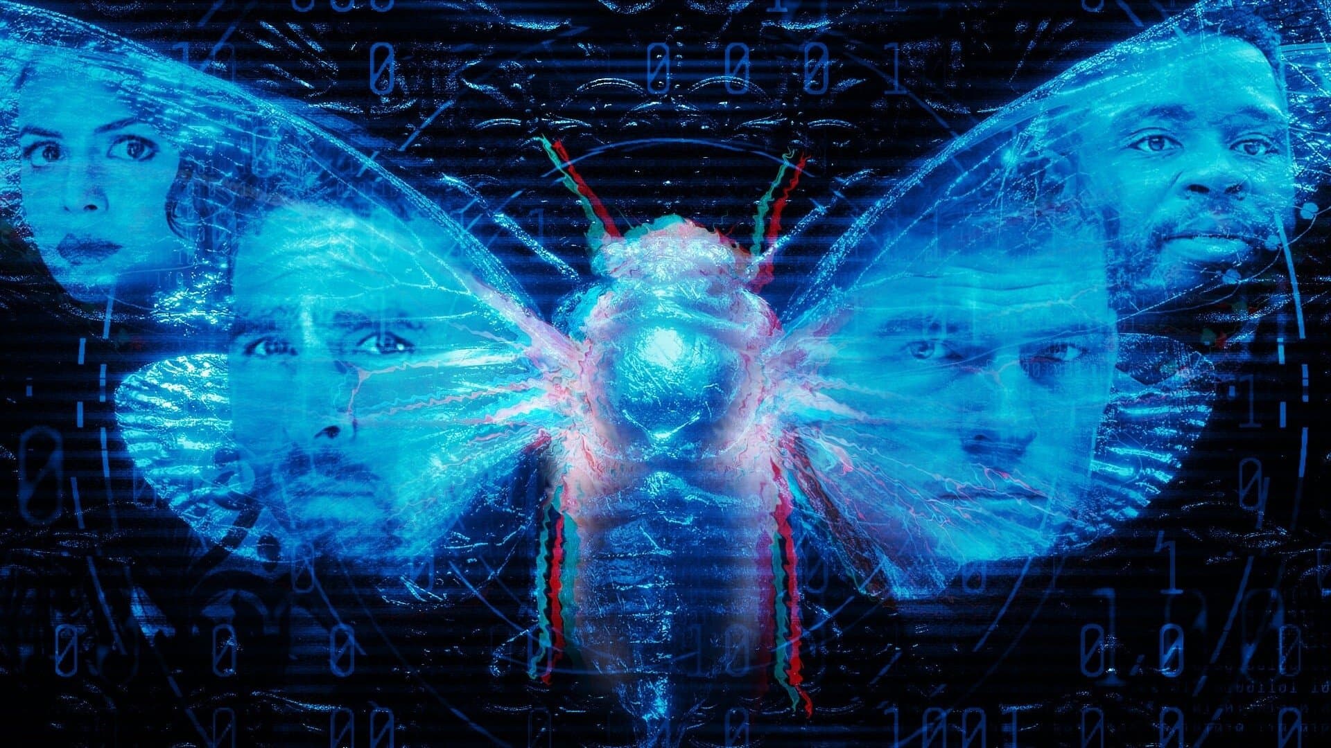 Photo d'illustration du film Dark Web: Cicada 3301