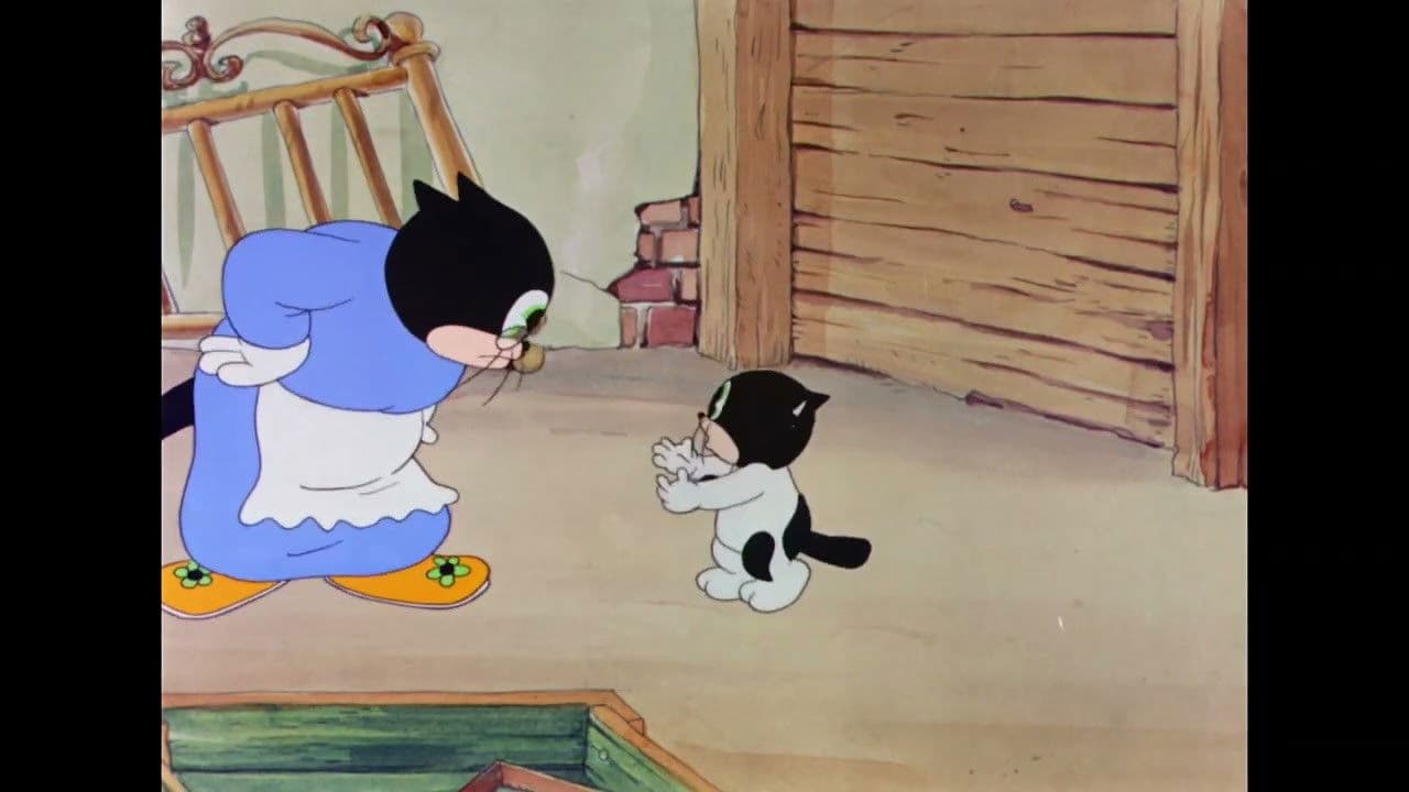 Photo d'illustration du film The Cat Came Back