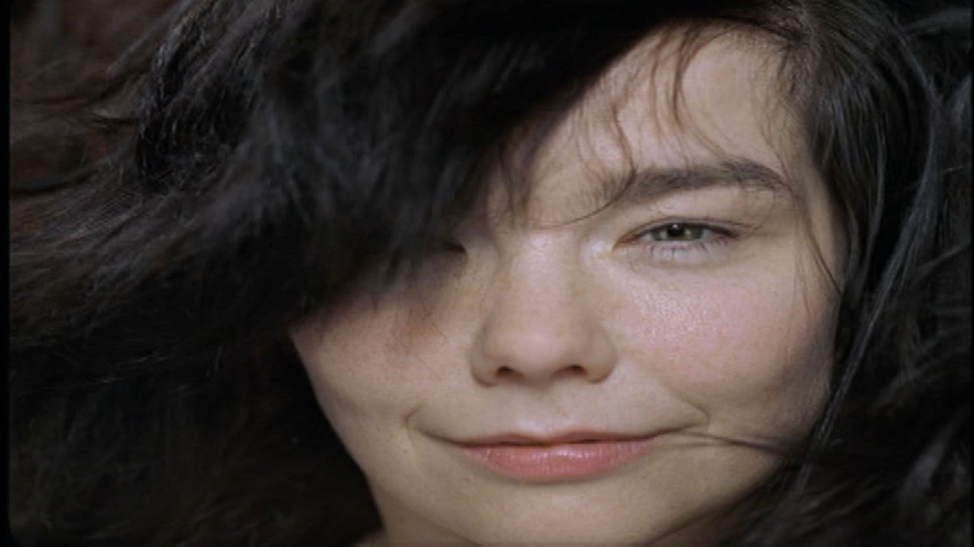 Photo d'illustration du film Björk: Volumen Plus