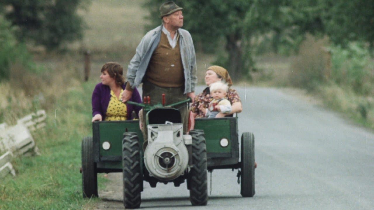 Photo d'illustration du film Les fêtes des perce-neige