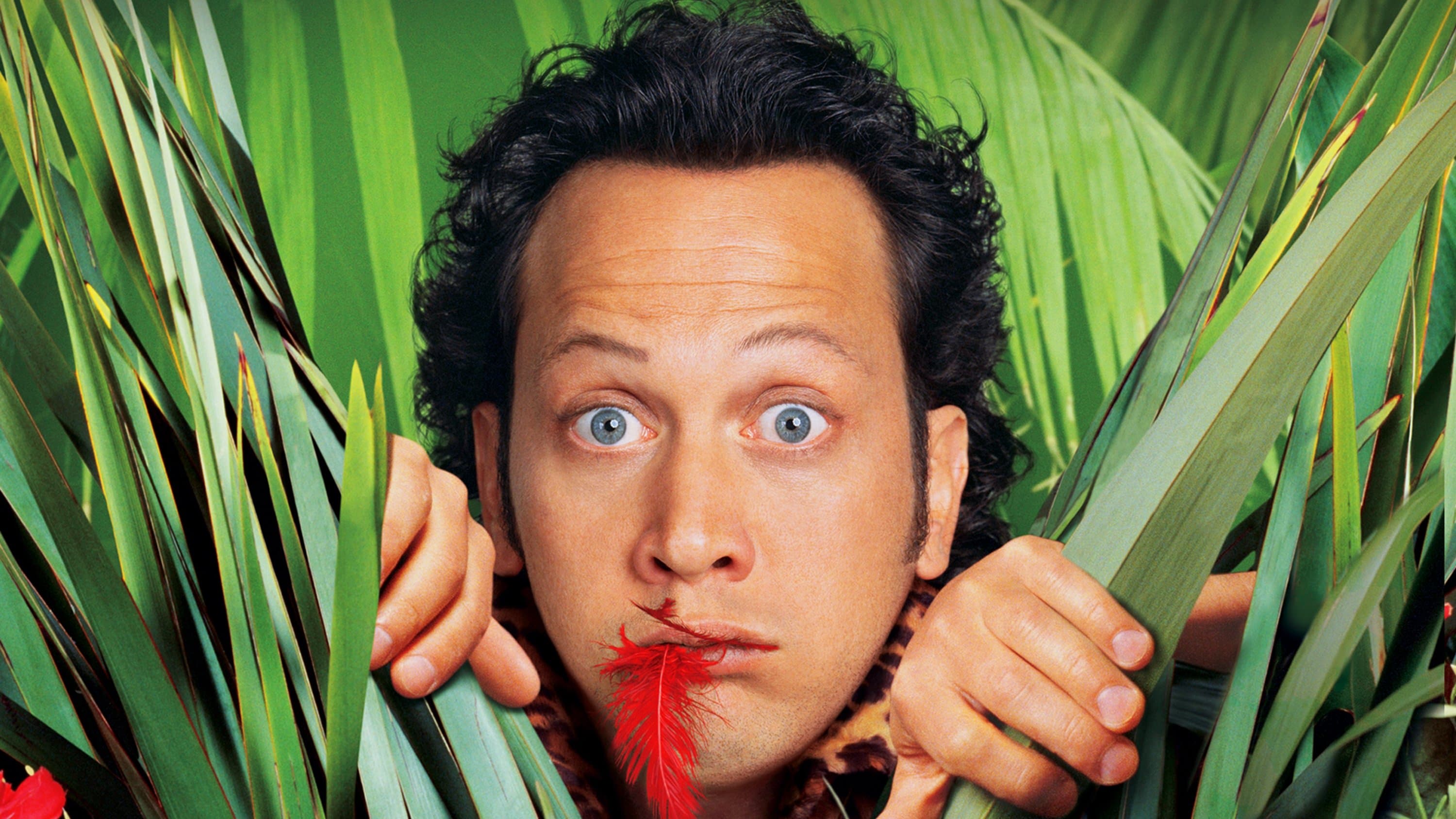 Photo d'illustration du film Animal ! L'animal