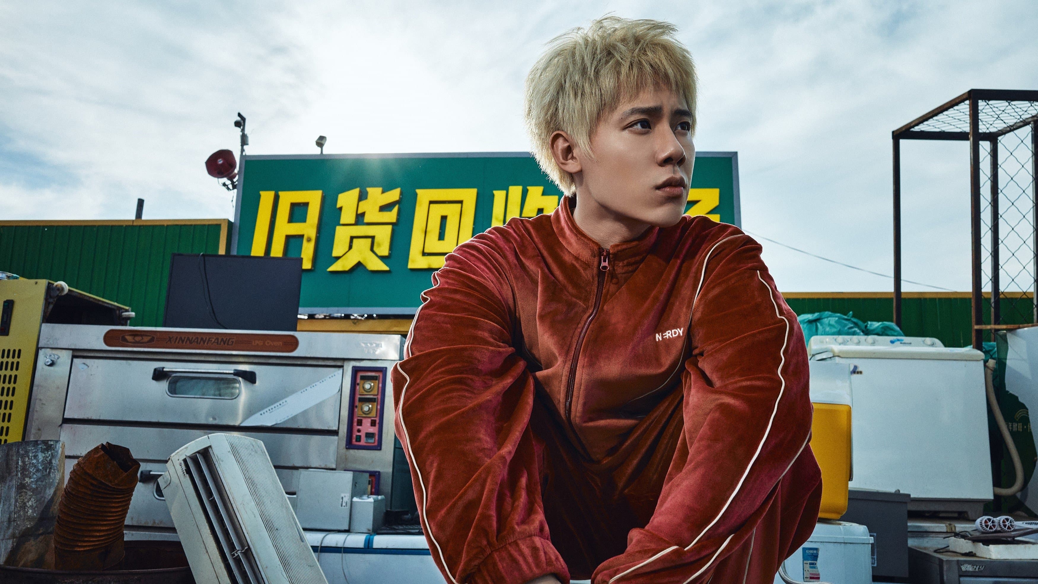 Photo d'illustration du film 苍茫的天涯是我的爱