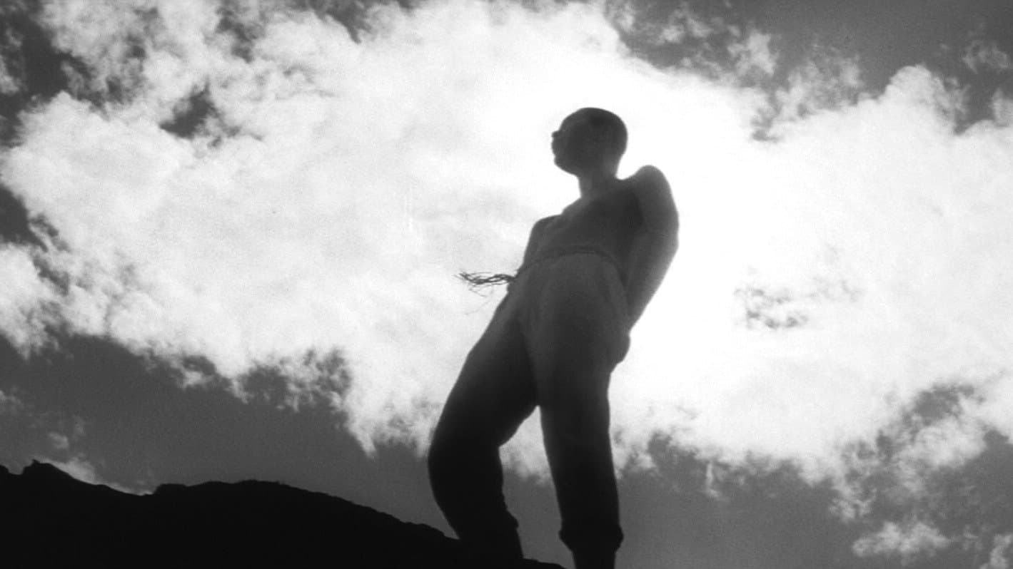 Photo d'illustration du film Le Piège