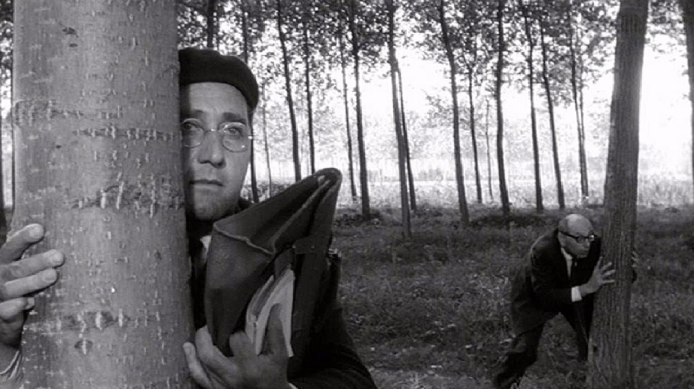 Photo d'illustration du film Il Maestro di Vigevano