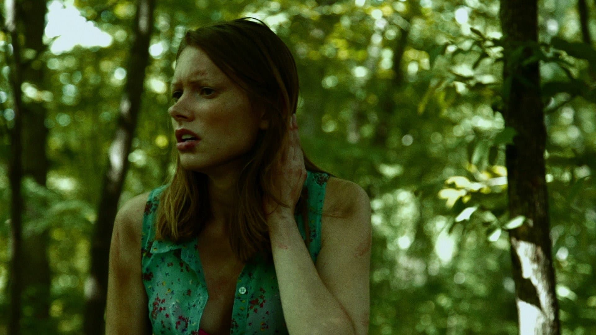 Photo d'illustration du film American Beast