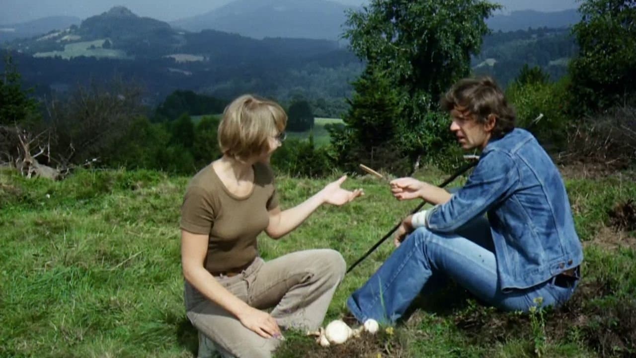 Photo d'illustration du film Léto s kovbojem