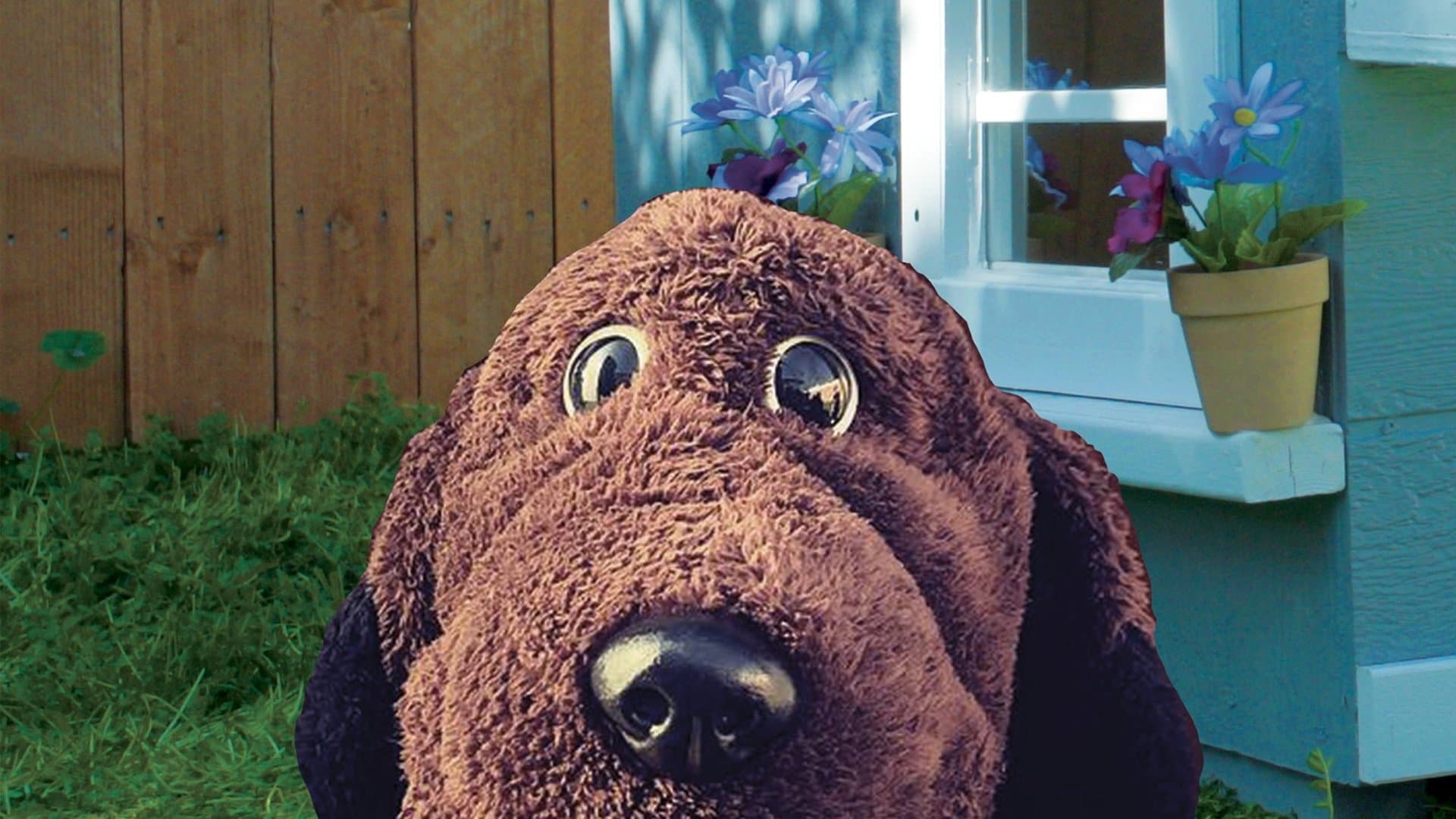 Photo d'illustration du film Allan The Dog