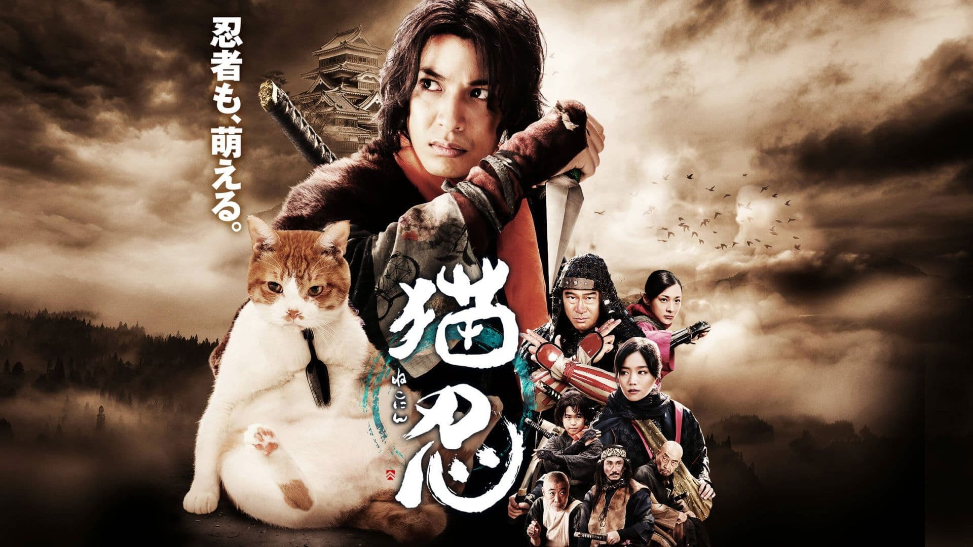 Photo d'illustration du film Ninja Cat the Movie