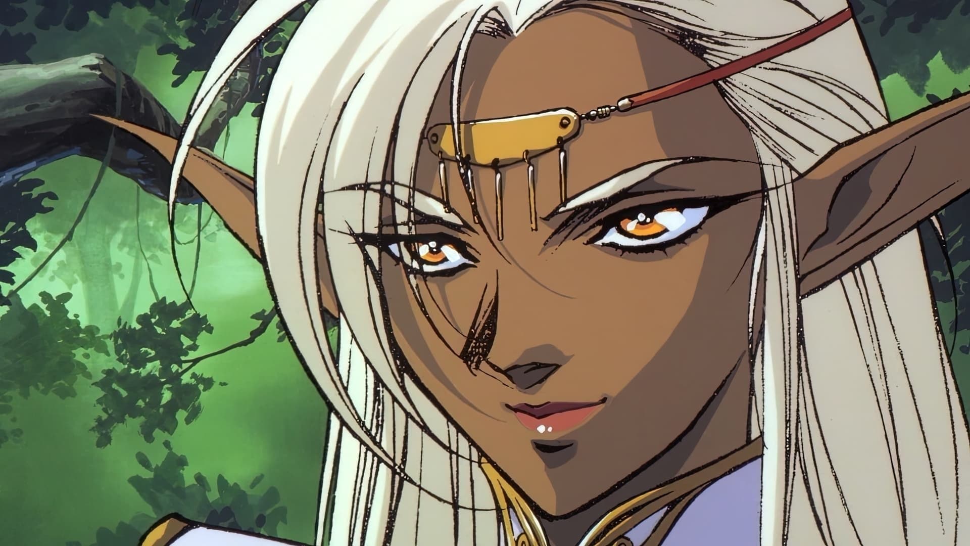 Photo d'illustration du film Chroniques de la guerre de Lodoss : La Légende de Crystania, le film