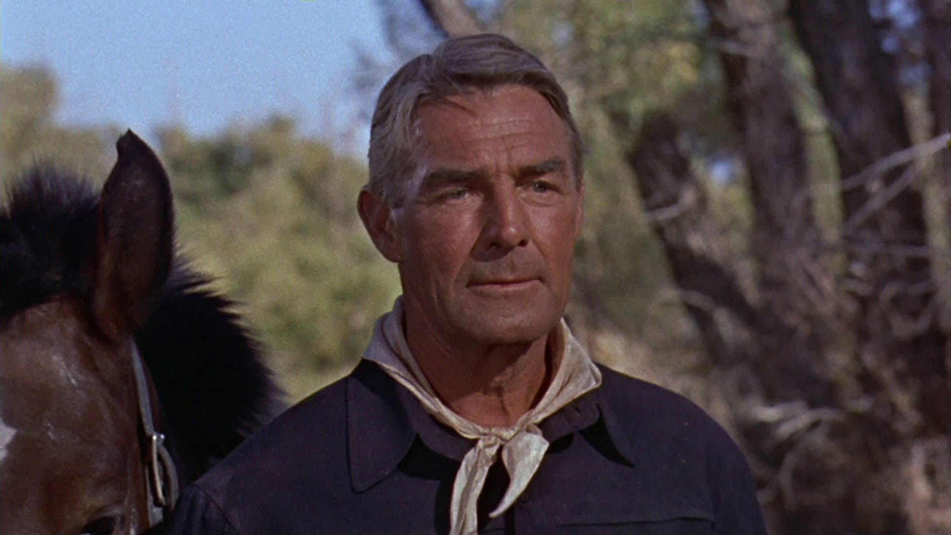 Photo d'illustration du film 7 hommes à abattre