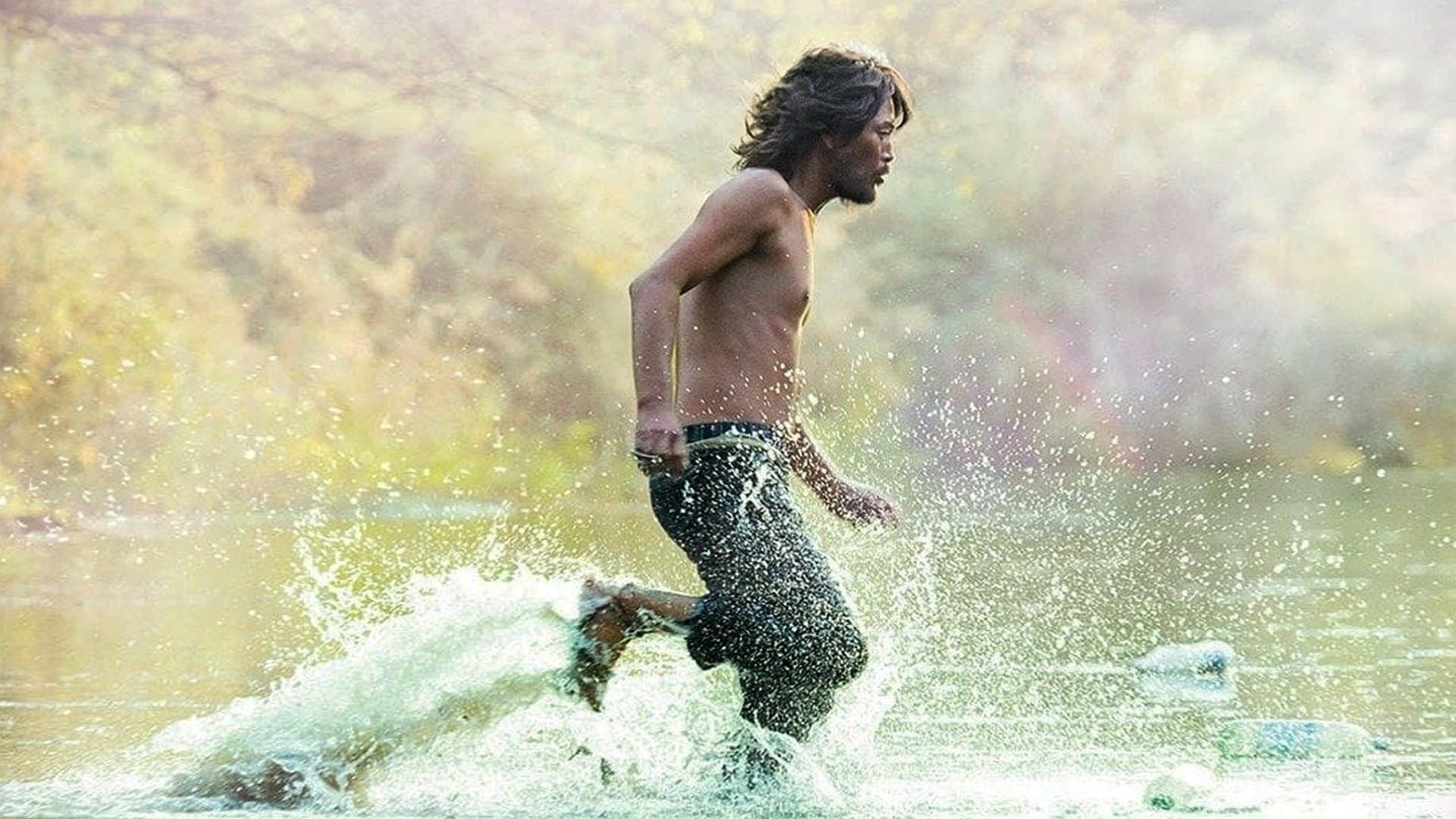 Photo d'illustration du film Des nouilles aux haricots noirs