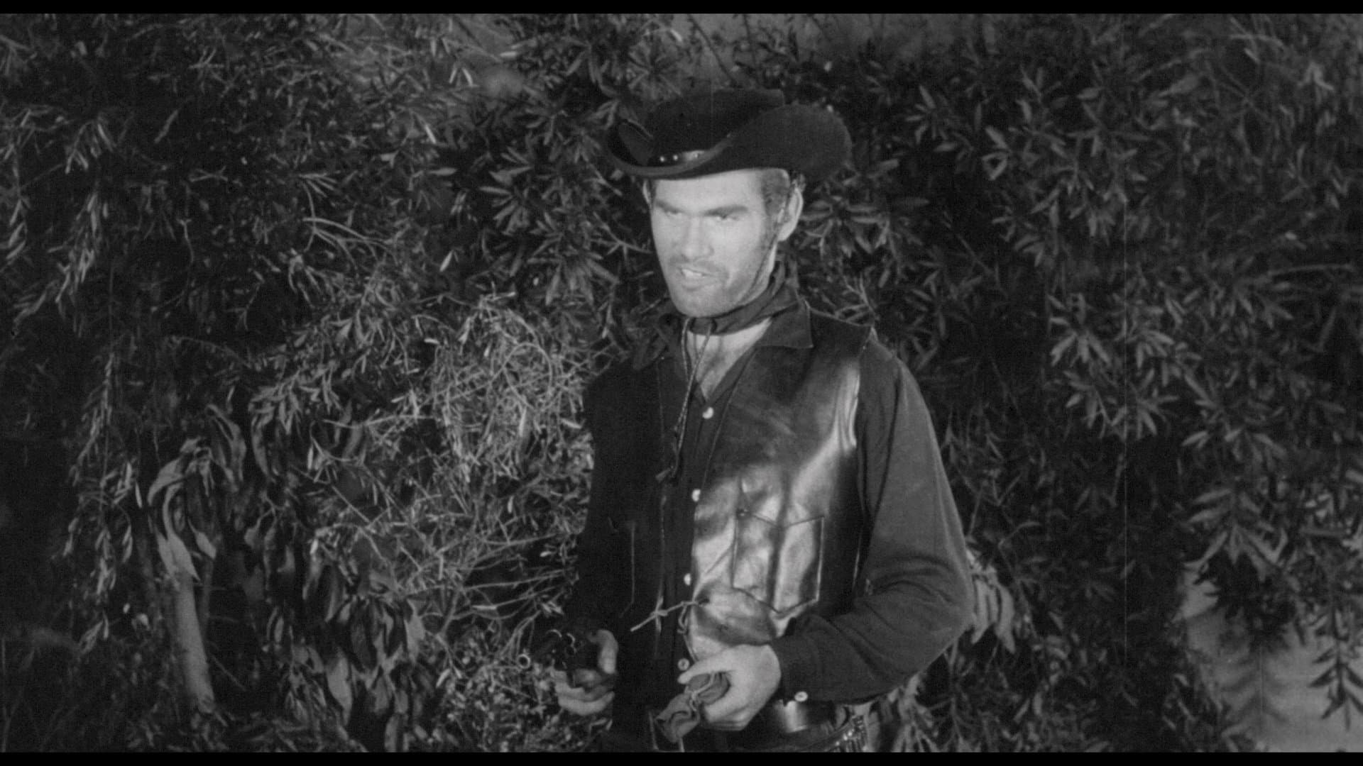 Photo d'illustration du film Half Way to Hell