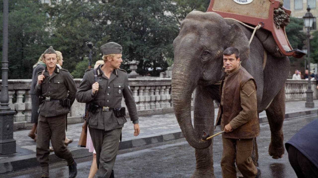 Photo d'illustration du film L'extraordinaire évasion