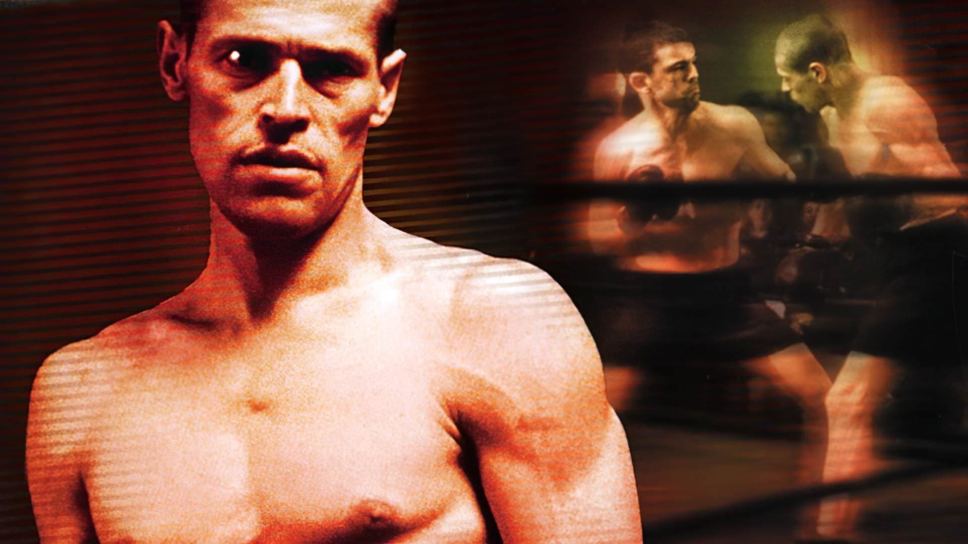 Photo d'illustration du film Triumph of the Spirit