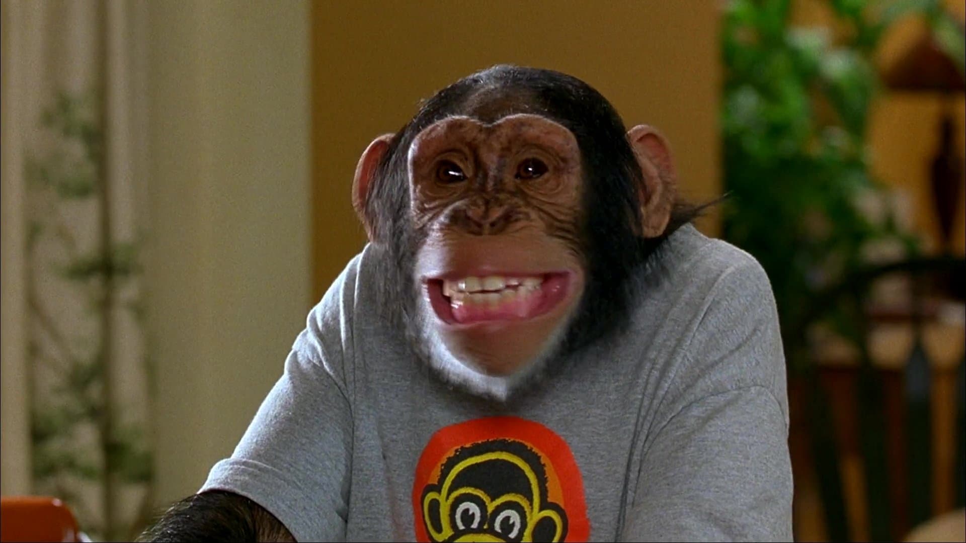 Photo d'illustration du film MXP: Maxi extrême primate