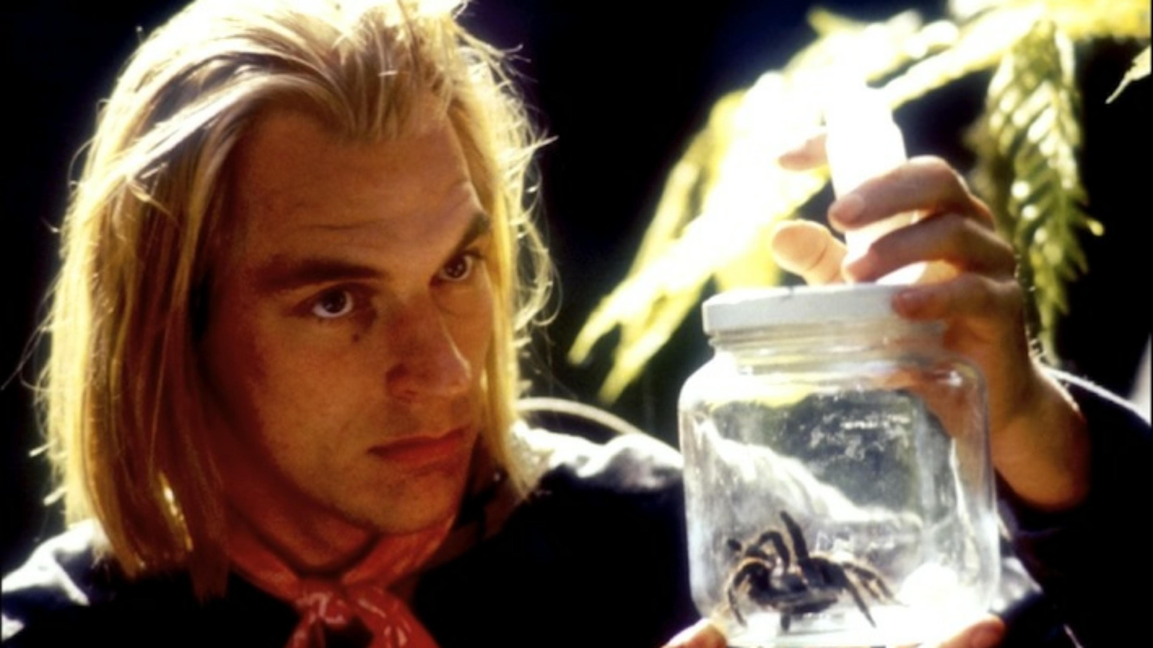 Photo d'illustration du film Arachnophobie