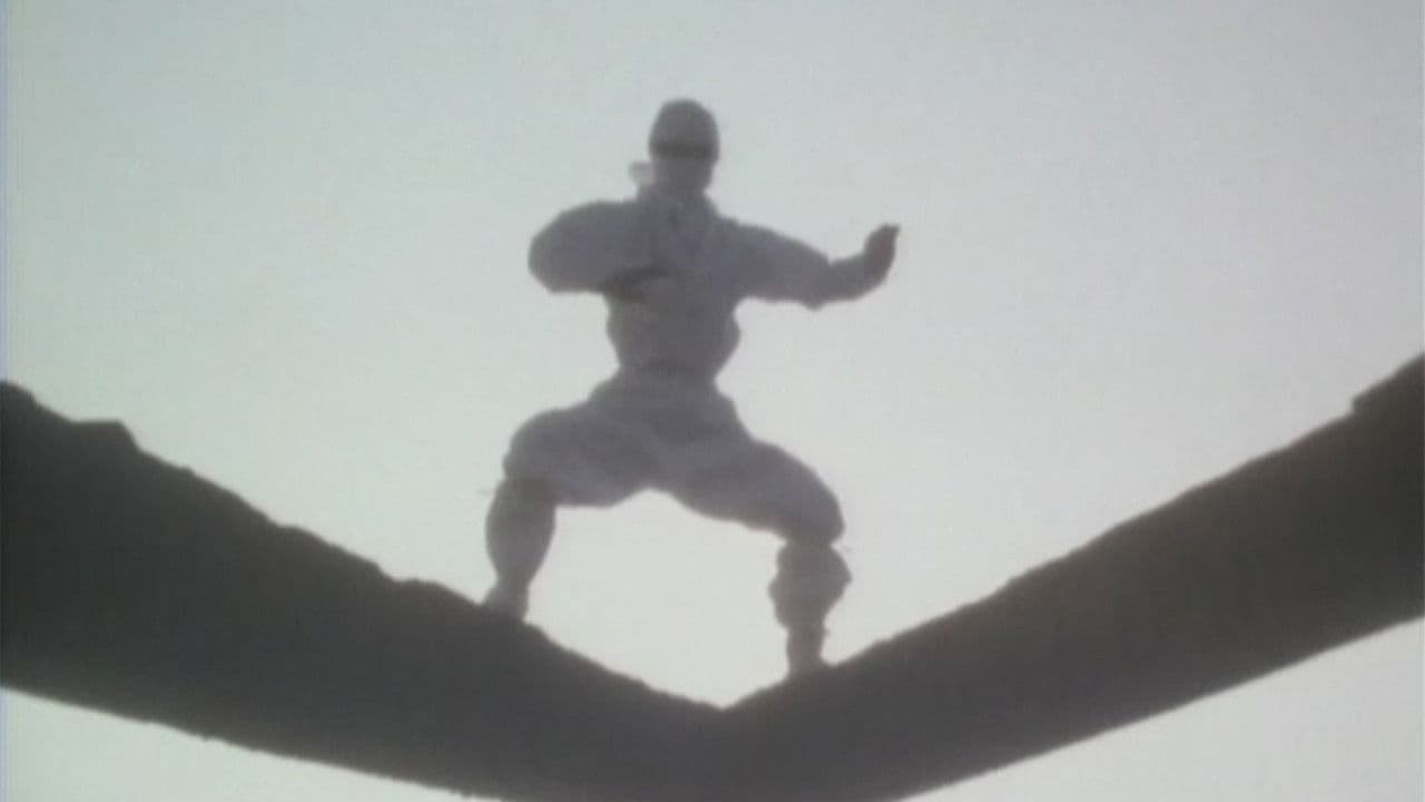 Photo d'illustration du film White Ninja: L'ennemi des ténèbres