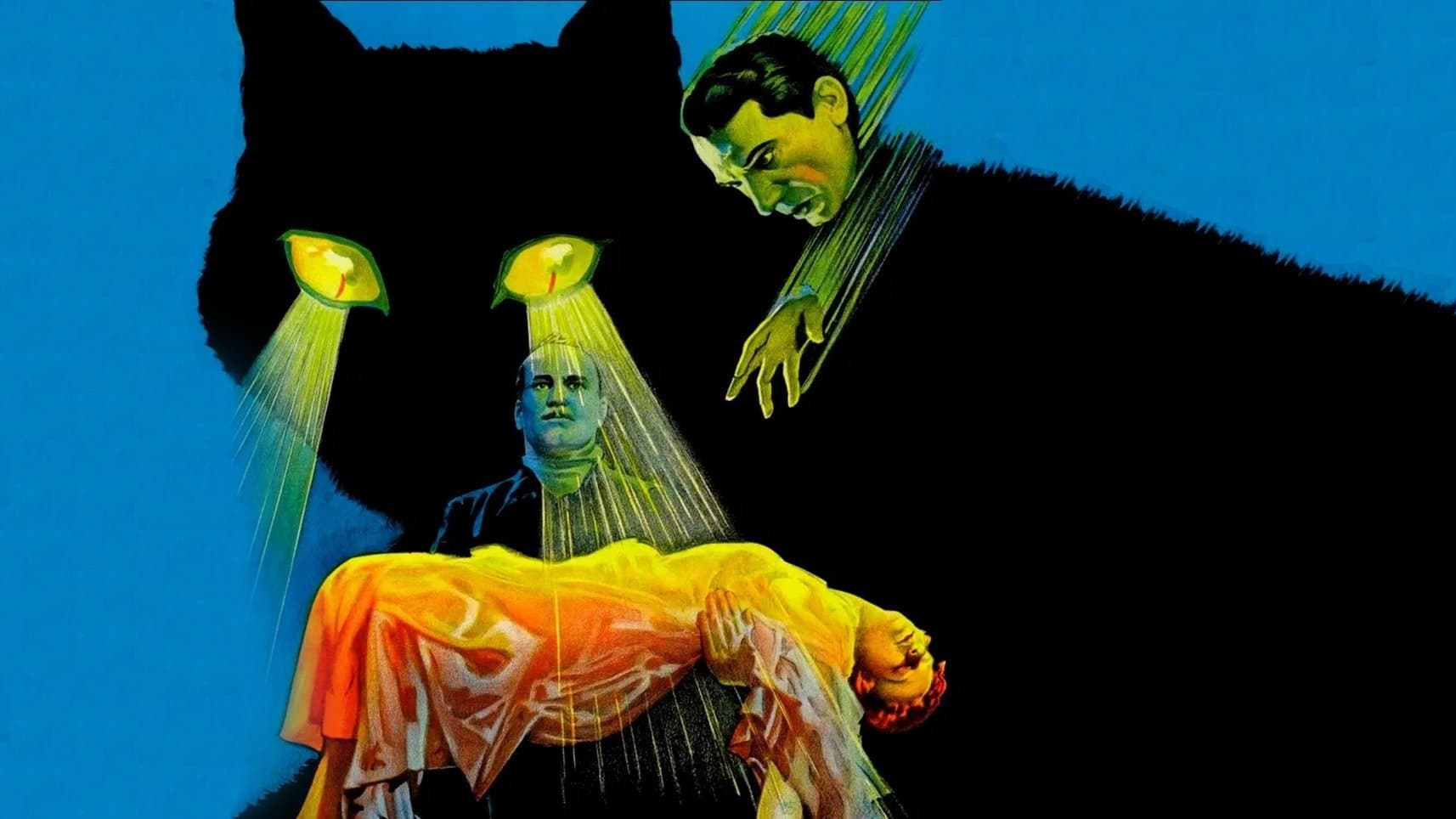 Photo d'illustration du film Le Chat noir