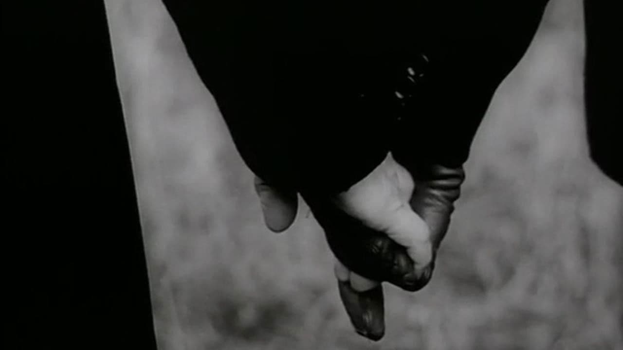 Photo d'illustration du film Zahrada