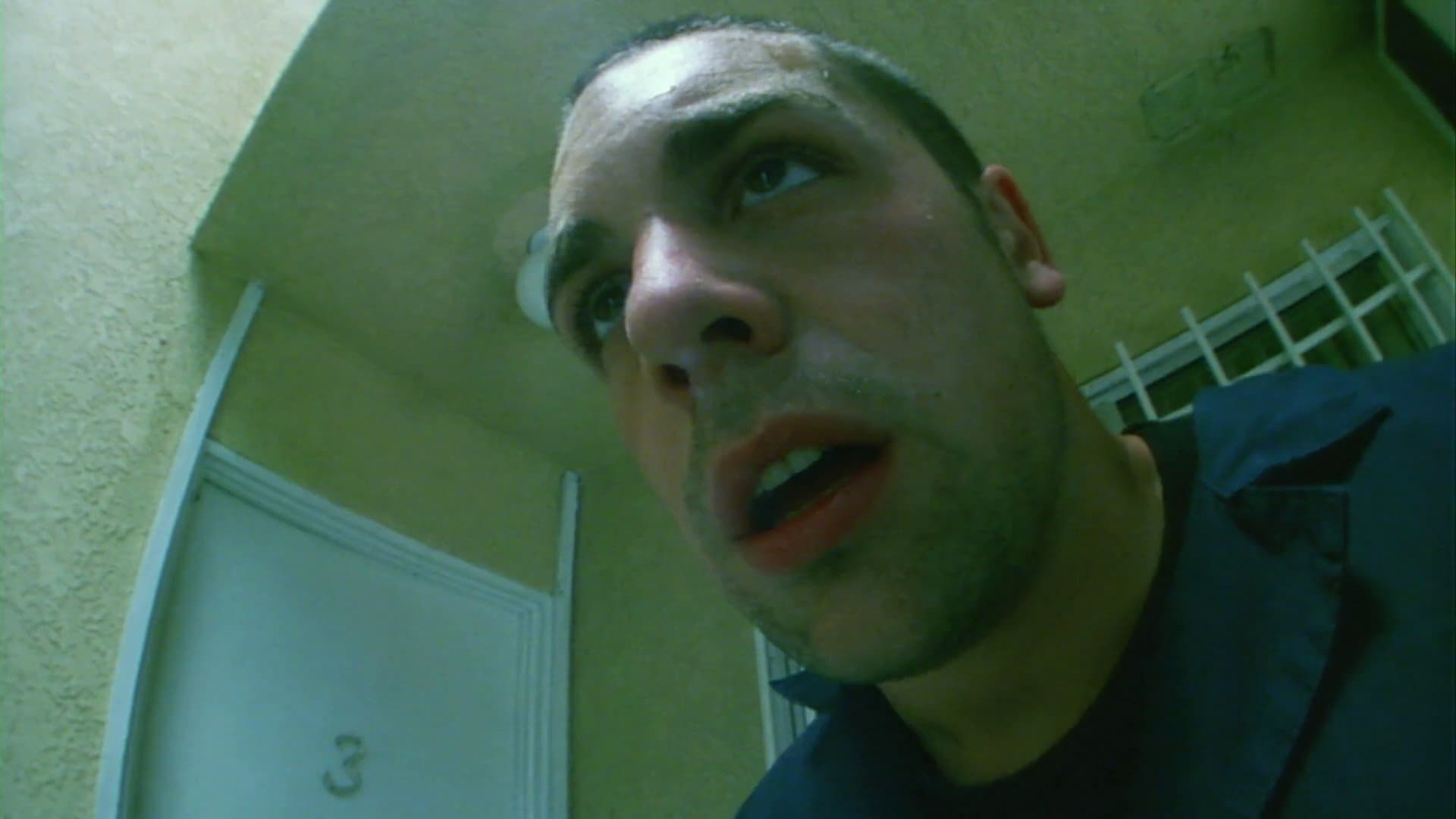 Photo d'illustration du film King of the Ants