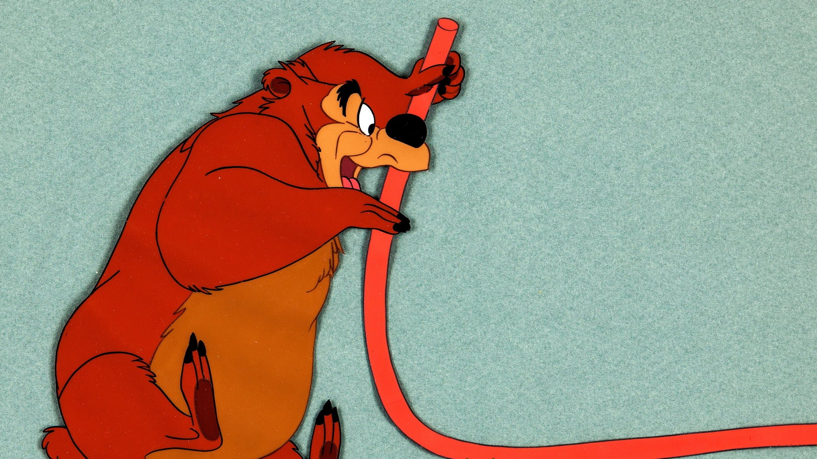 Photo d'illustration du film Hooked Bear