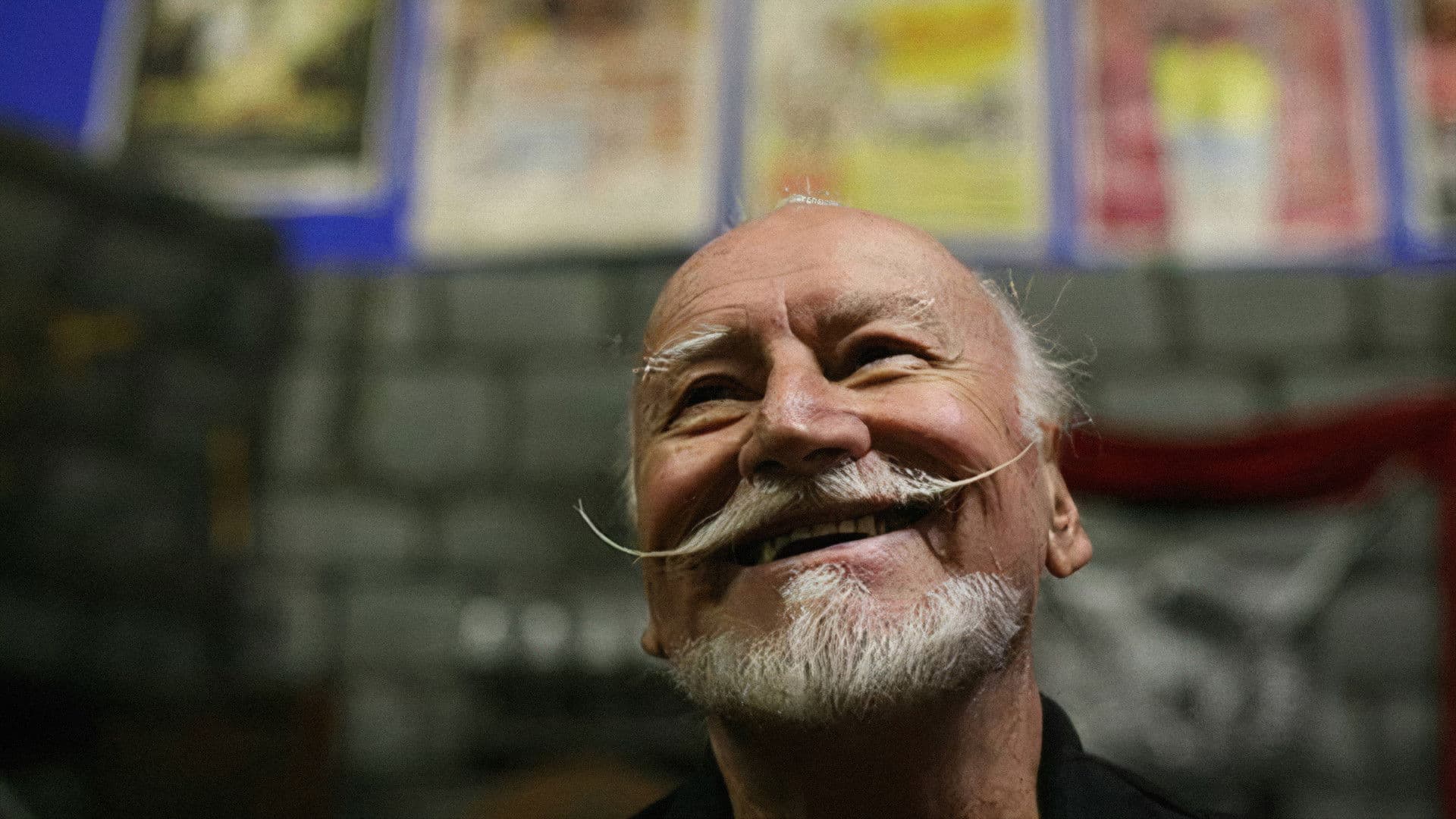 Photo d'illustration du film The Wild World of Ted V. Mikels