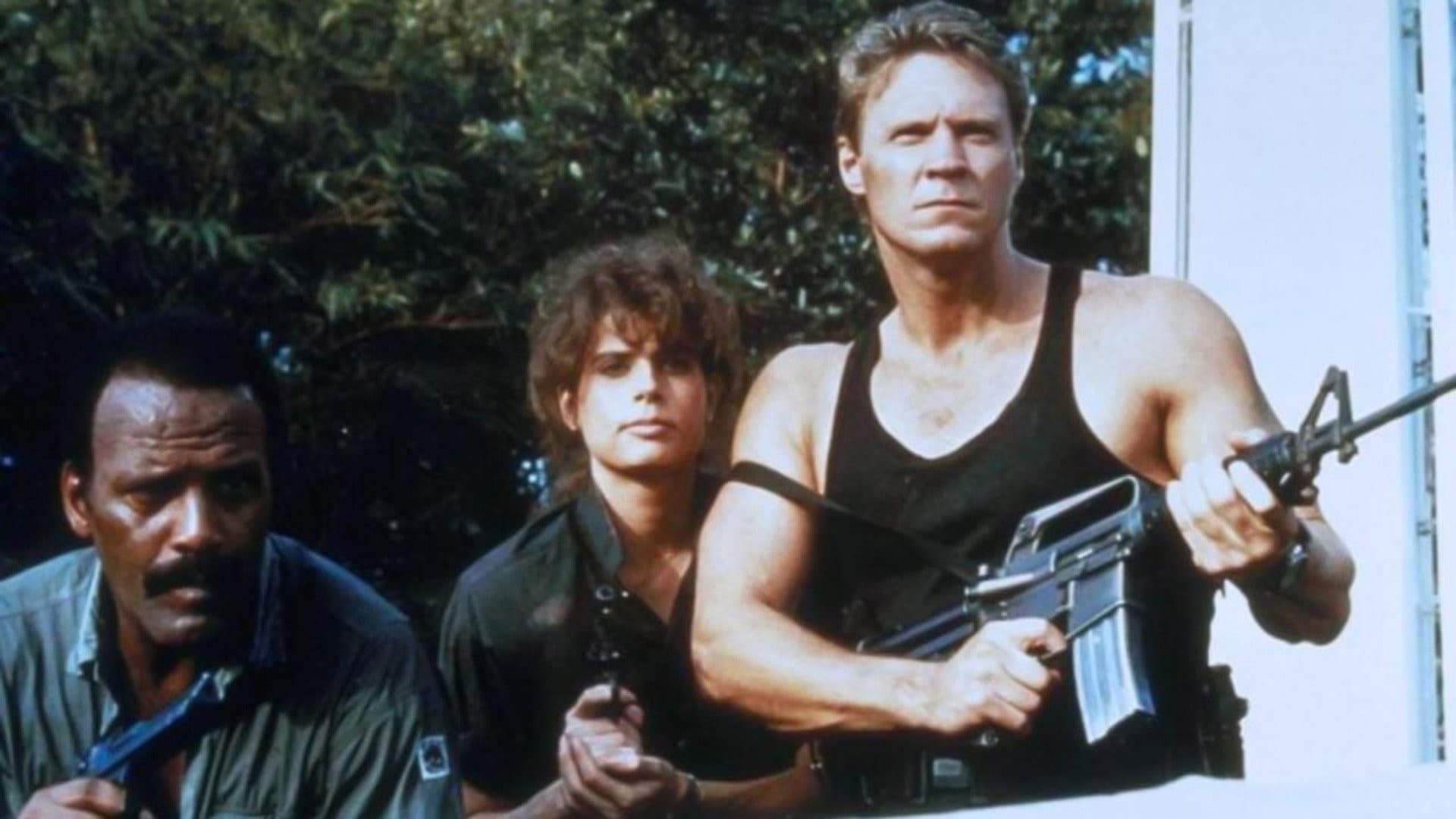 Photo d'illustration du film Cobra nero