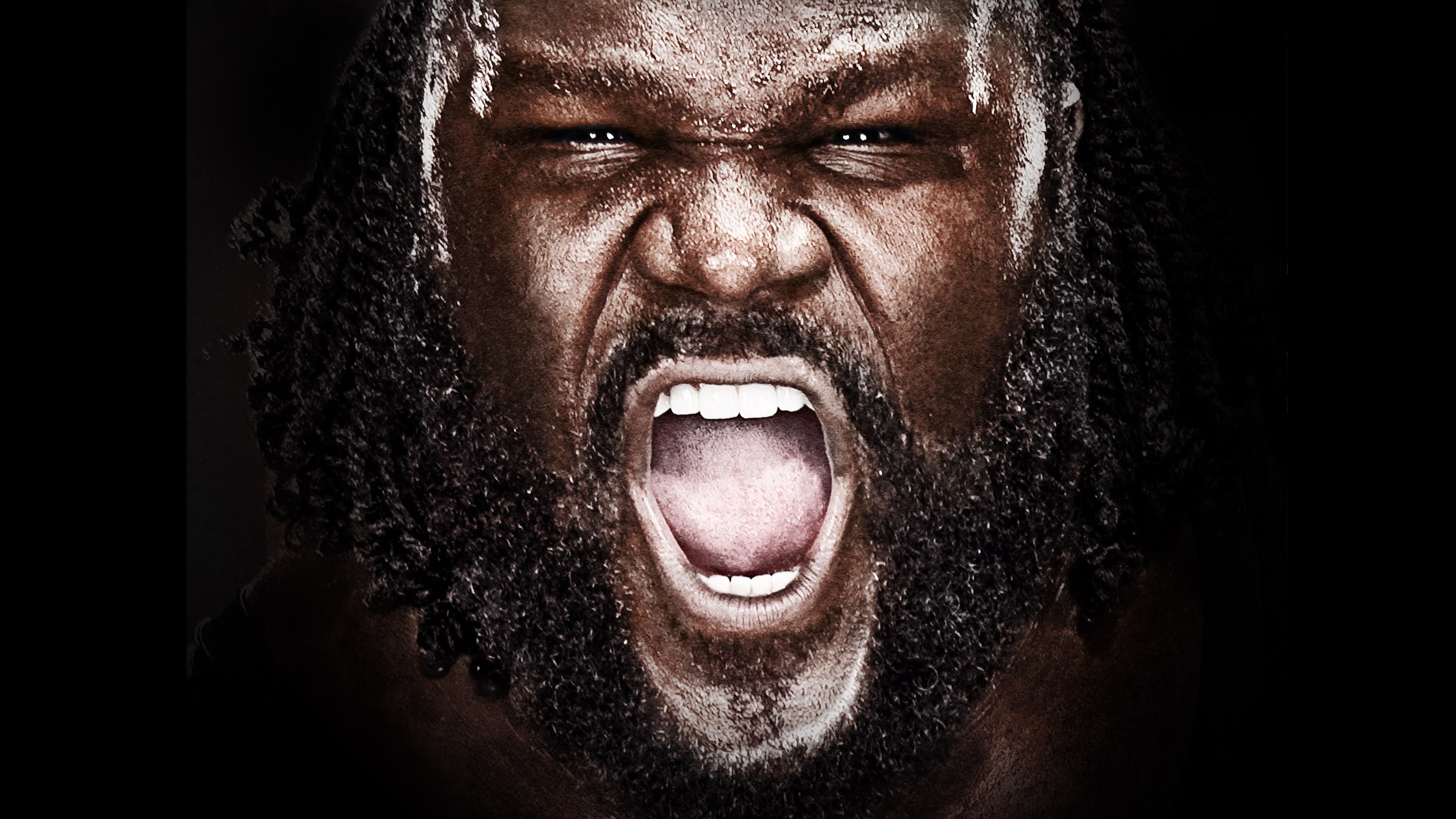 Photo d'illustration du film WWE Vengeance 2011