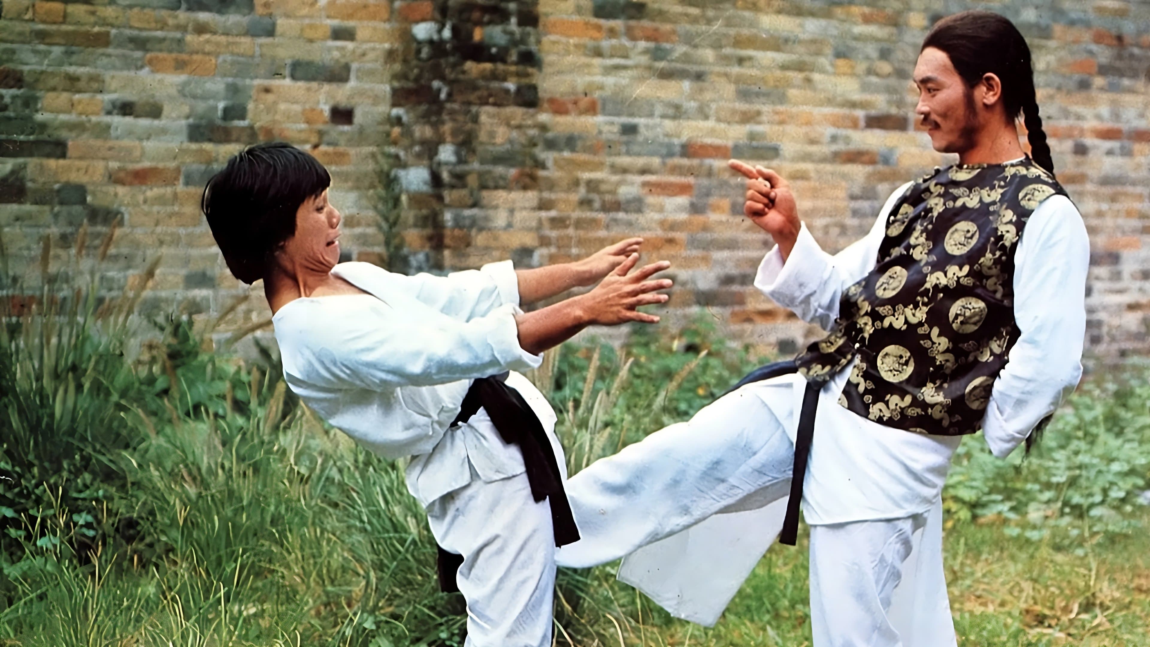 Photo d'illustration du film 五爪十八翻