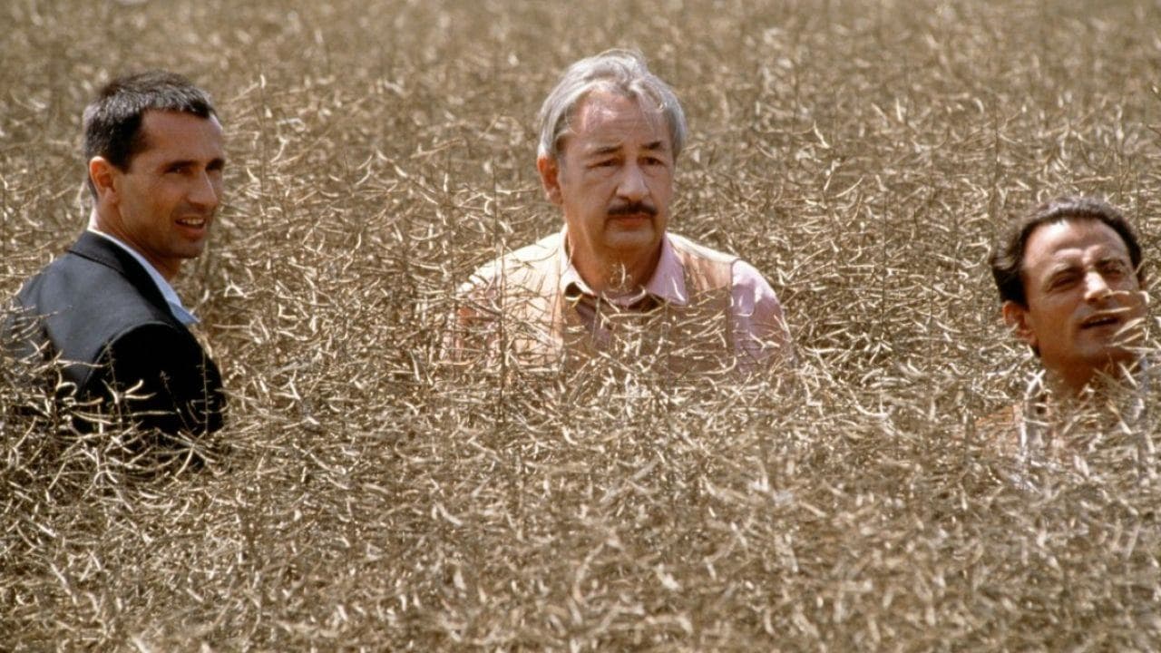 Photo d'illustration du film Tango