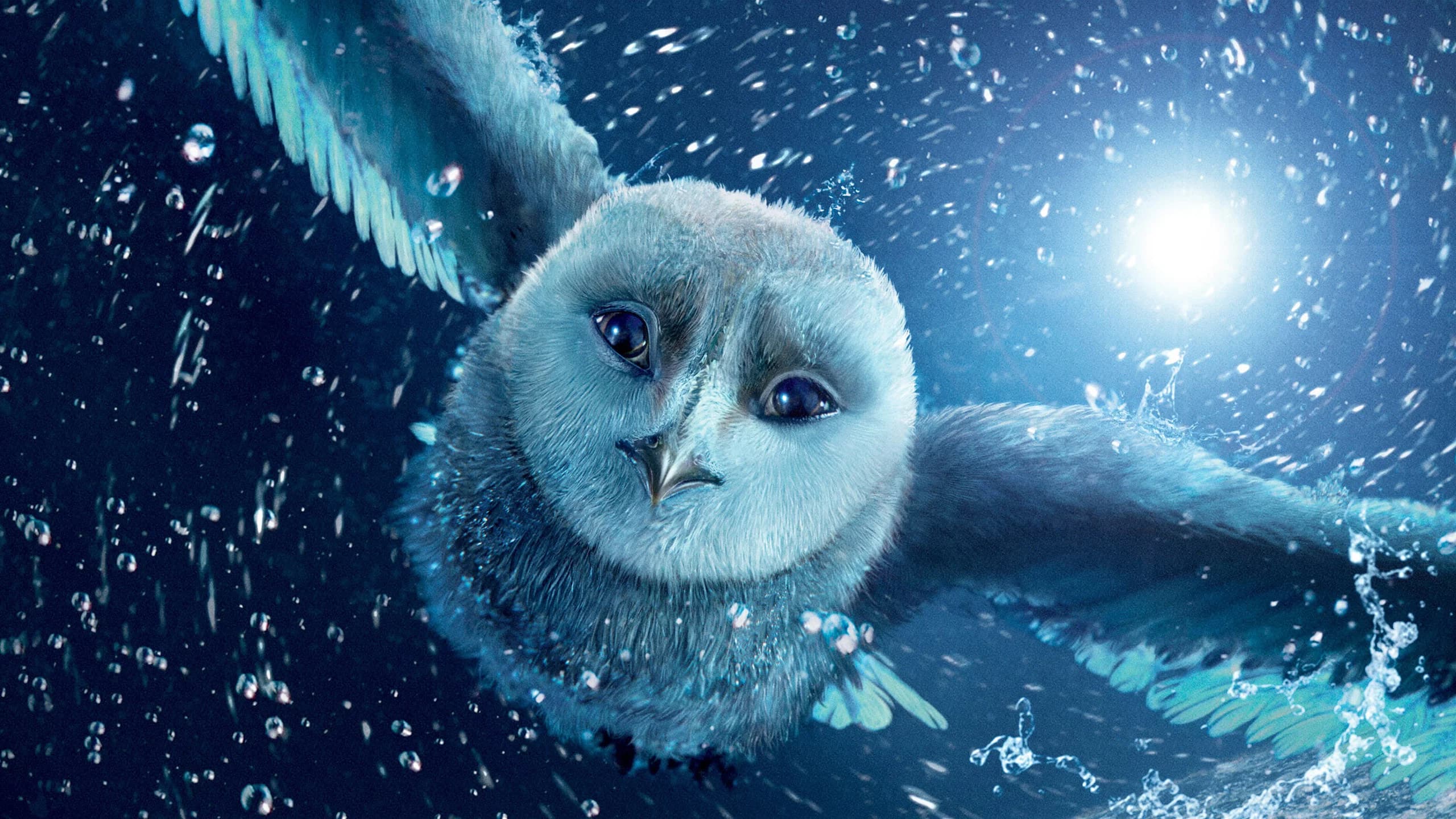 Photo d'illustration du film Le Royaume de Ga'Hoole : La légende des gardiens