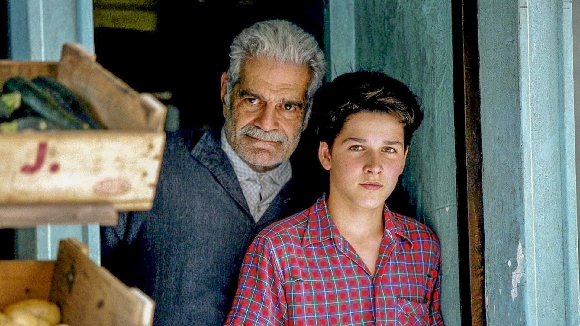 Photo d'illustration du film Monsieur Ibrahim et les Fleurs du Coran