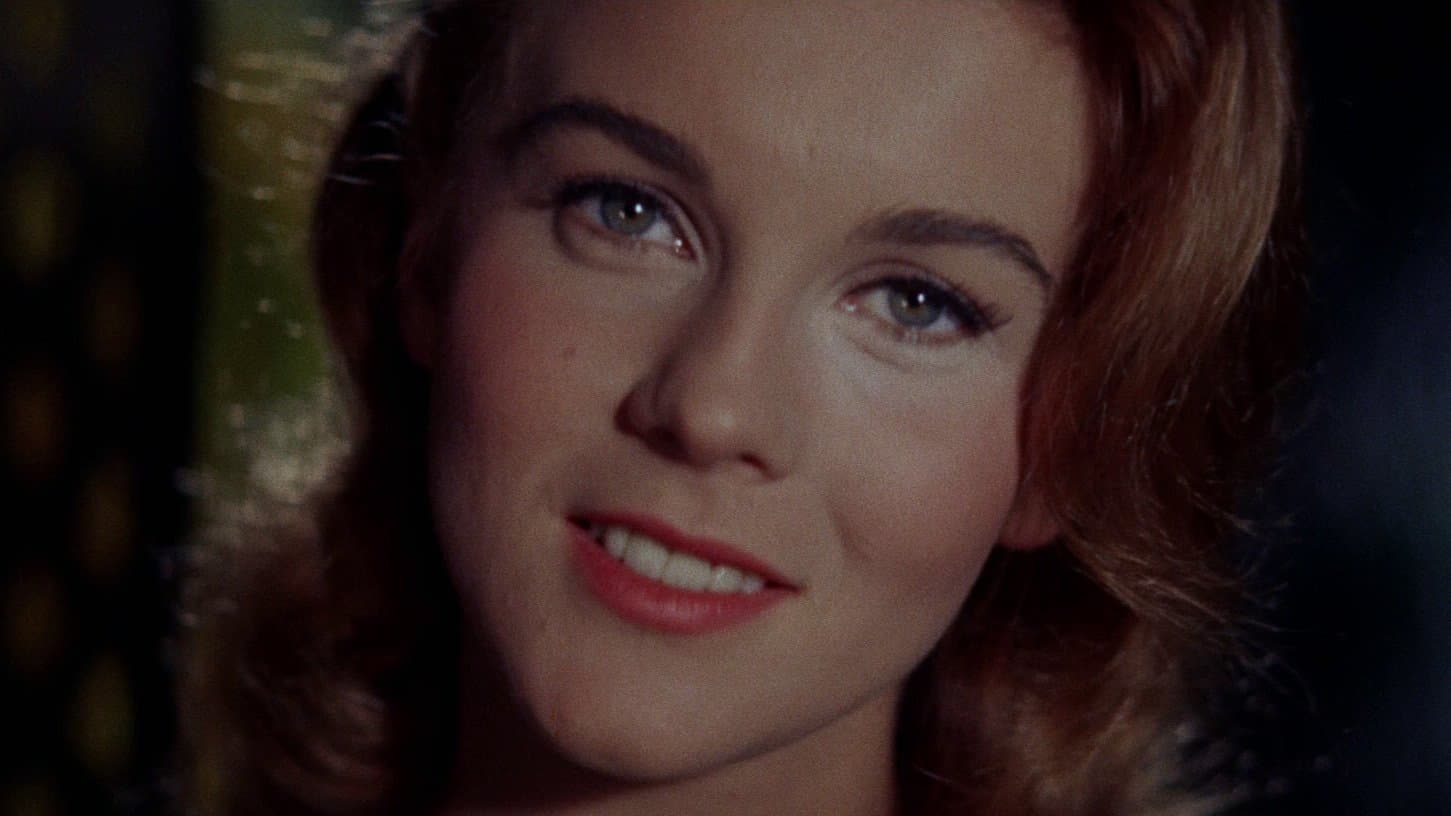 Photo d'illustration du film Bye Bye Birdie