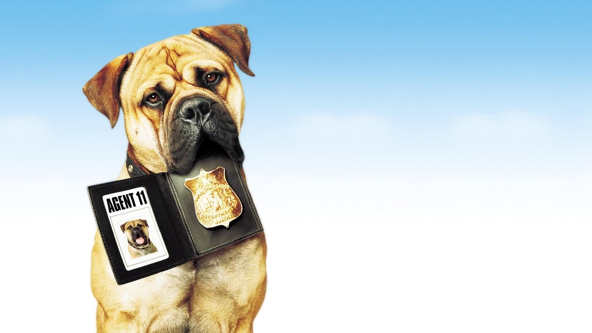 Photo d'illustration du film Spot