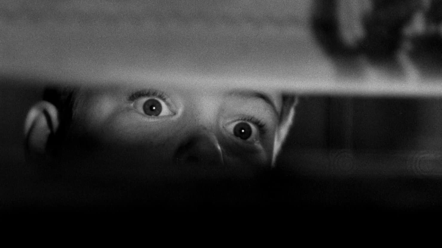 Photo d'illustration du film Une Incroyable histoire