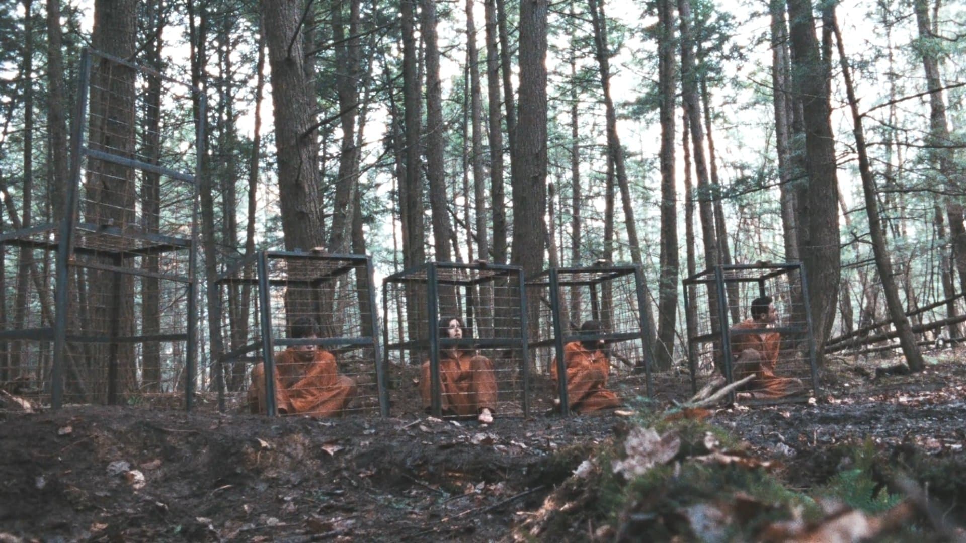 Photo d'illustration du film Territoires