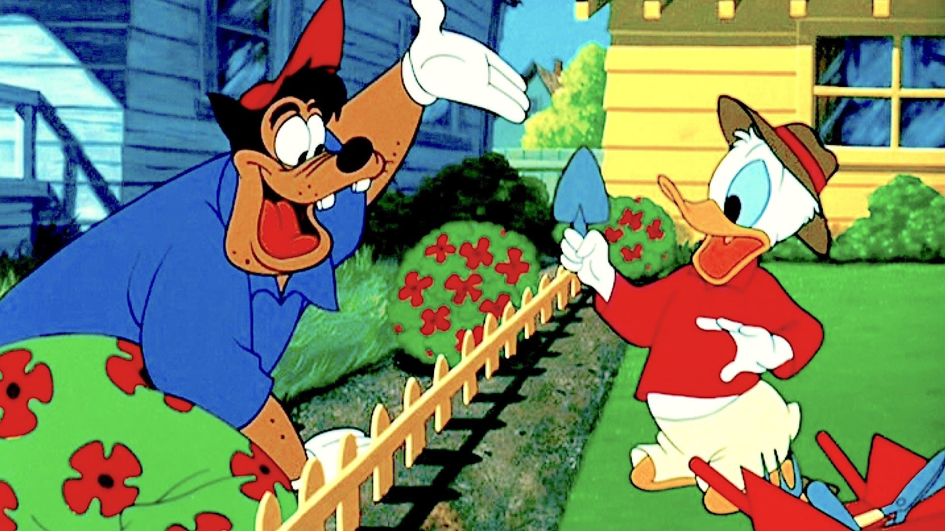 Photo d'illustration du film Le nouveau voisin