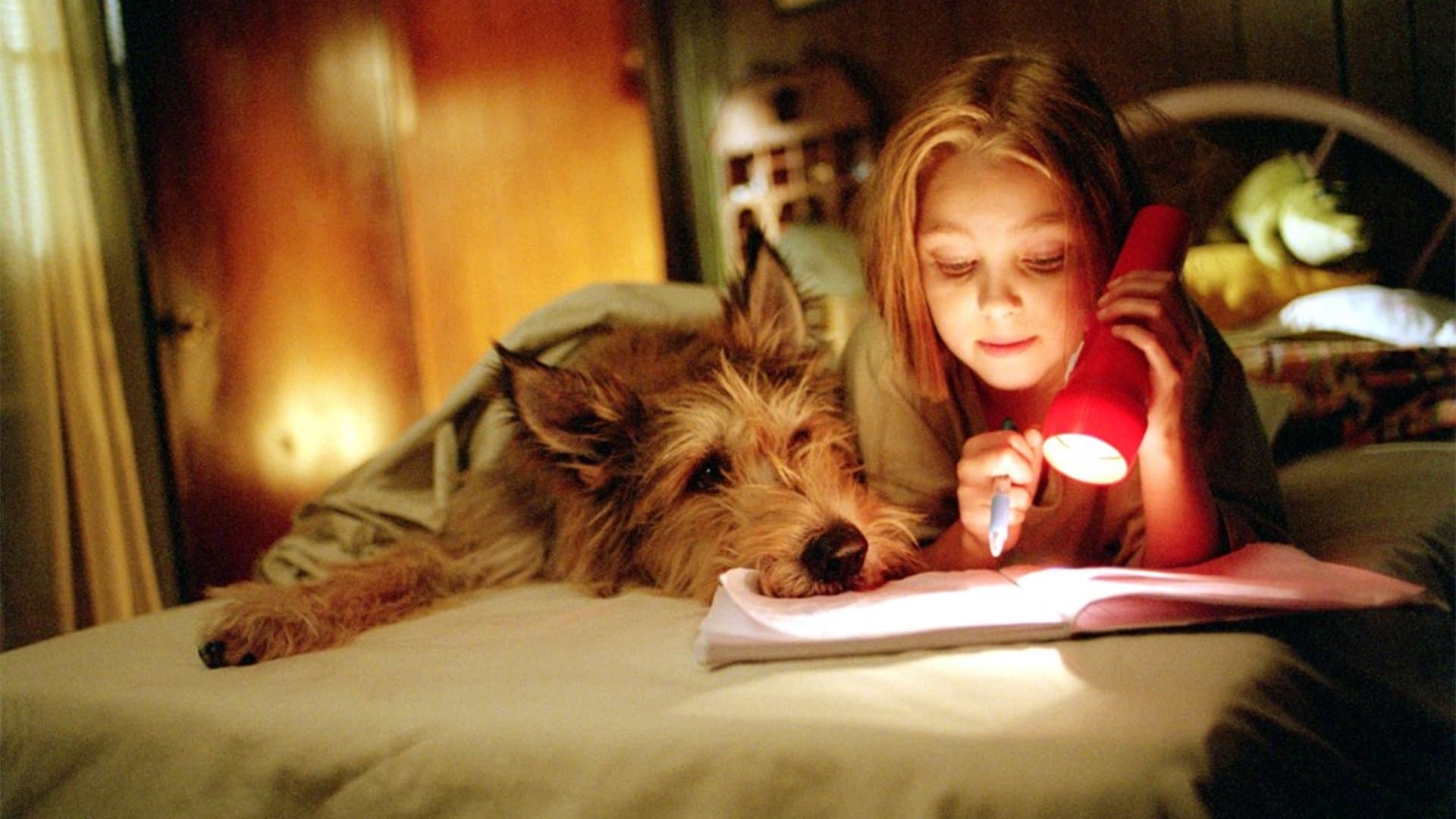 Photo d'illustration du film Winn-Dixie mon meilleur ami