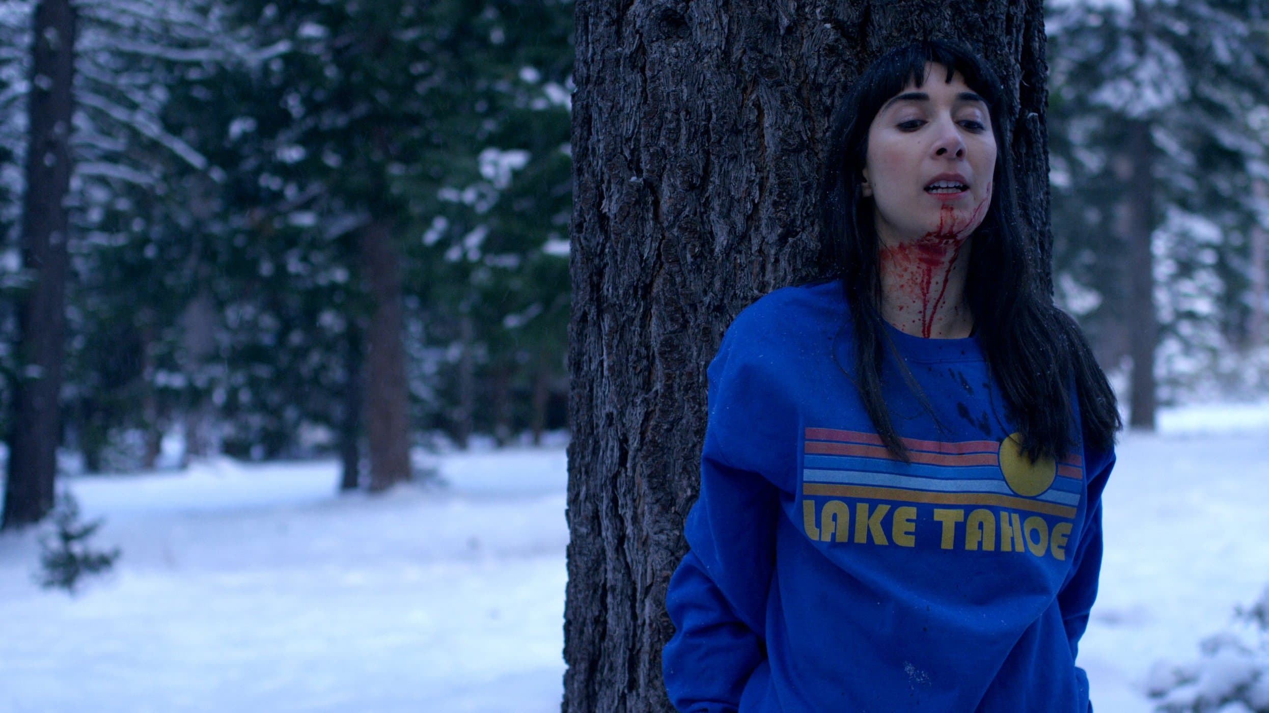 Photo d'illustration du film Red Snow