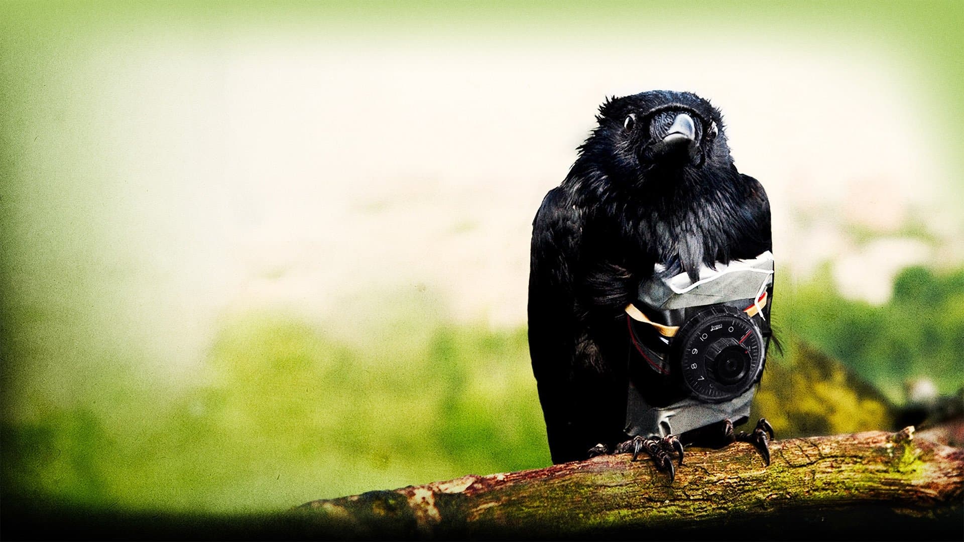 Photo d'illustration du film We Are Four Lions